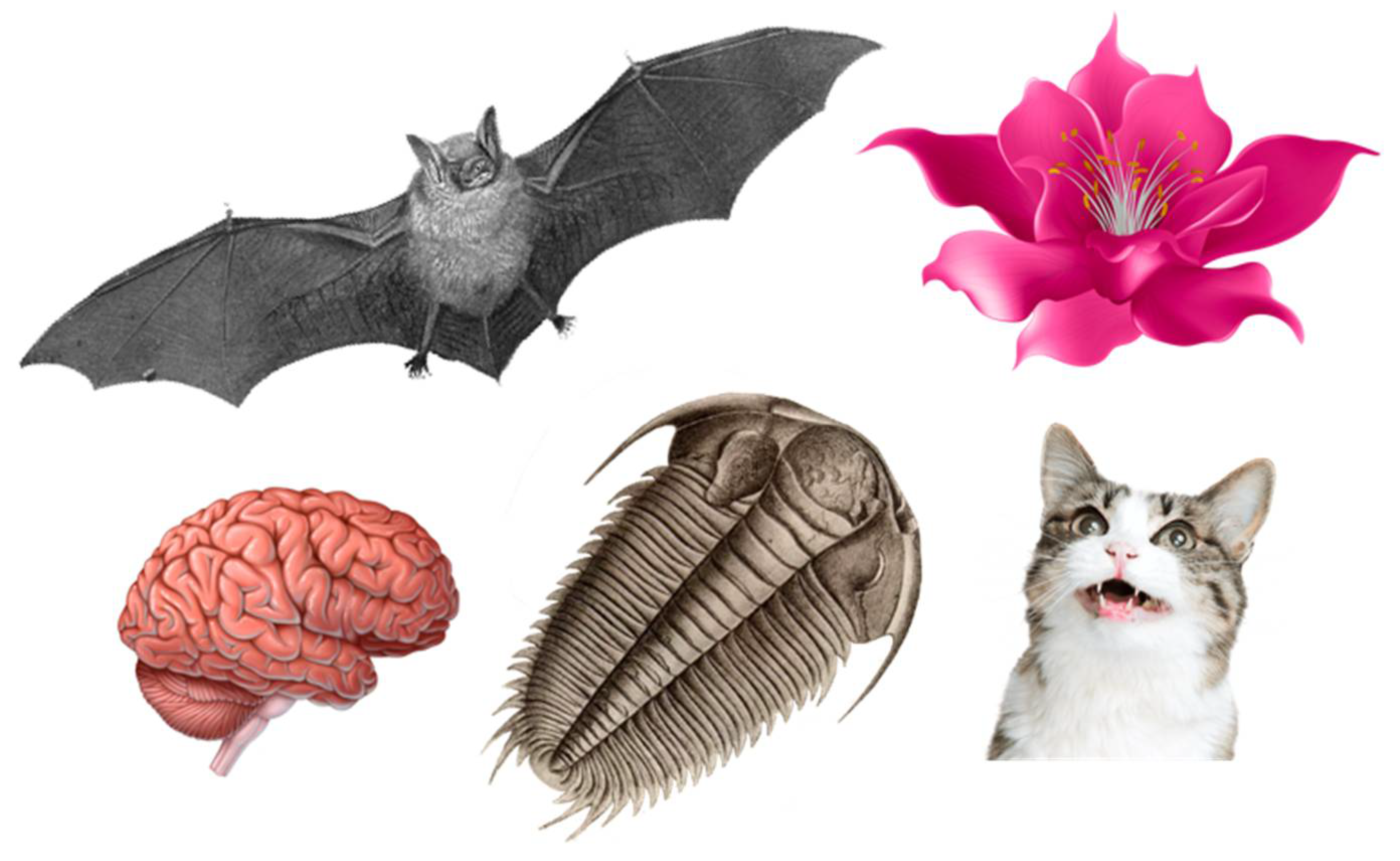 Molecules 26 06618 g002 550