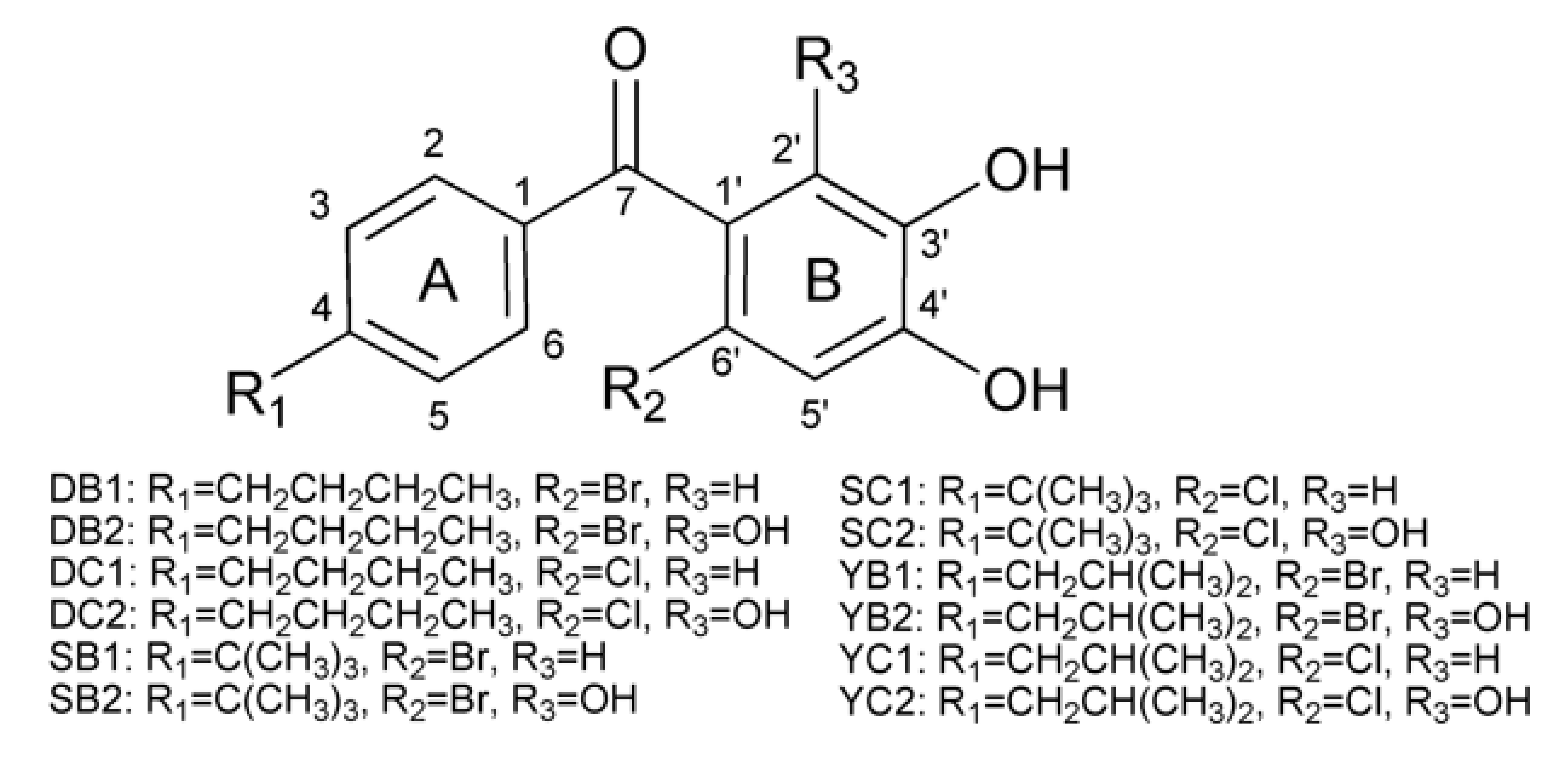 Molecules 26 06622 g001