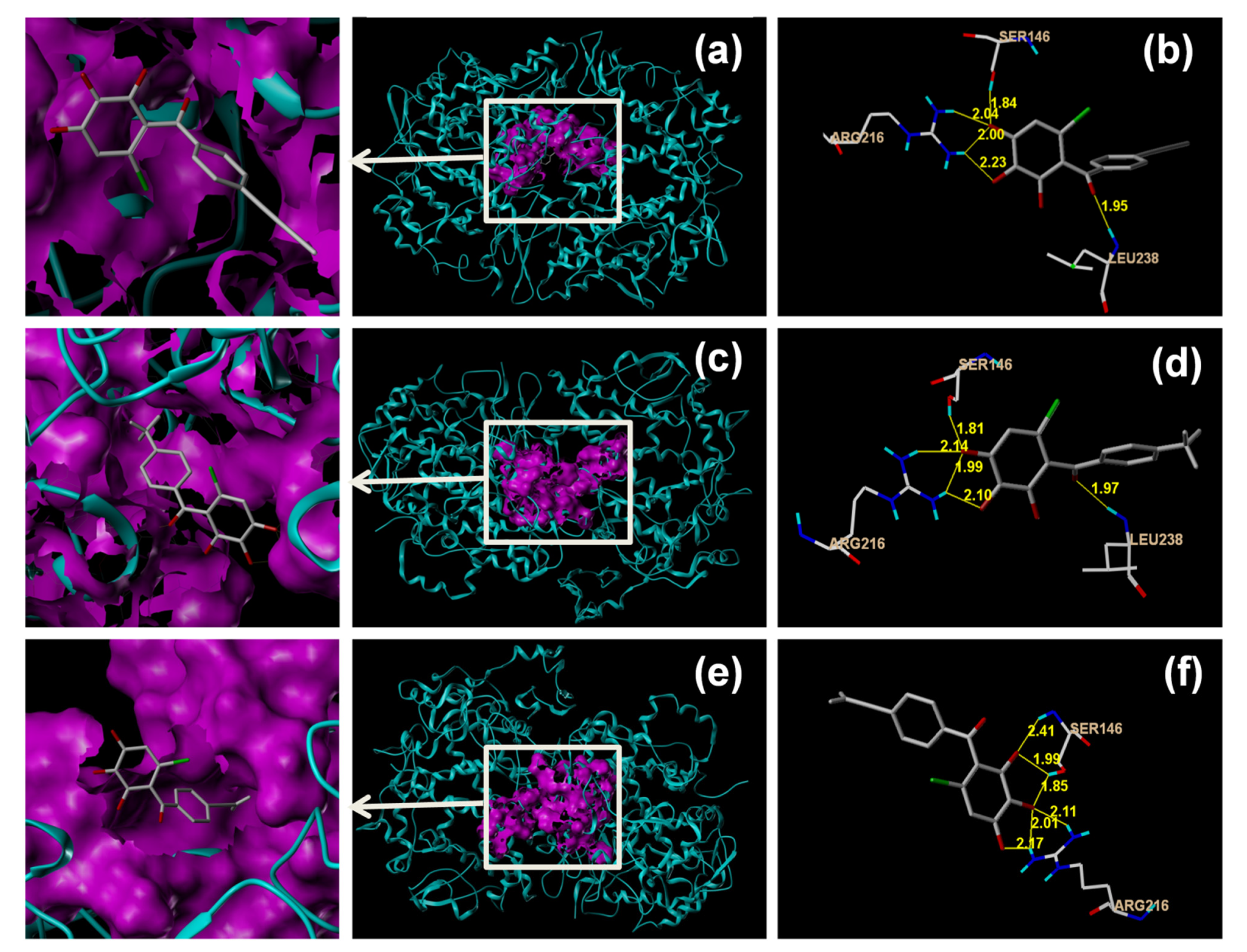 Molecules 26 06622 g003