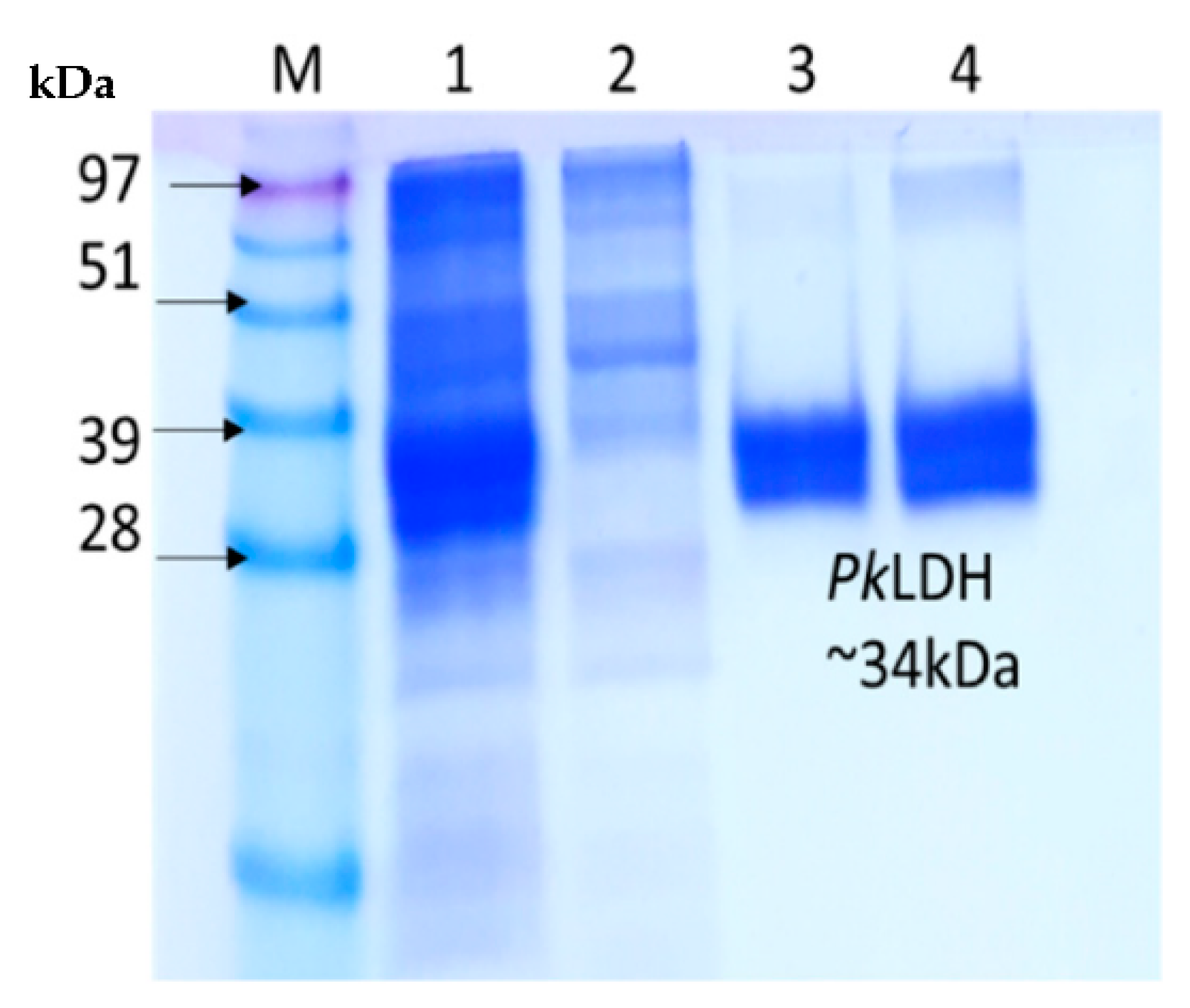 Molecules 26 06625 g004 Molecules 26 06625 g004