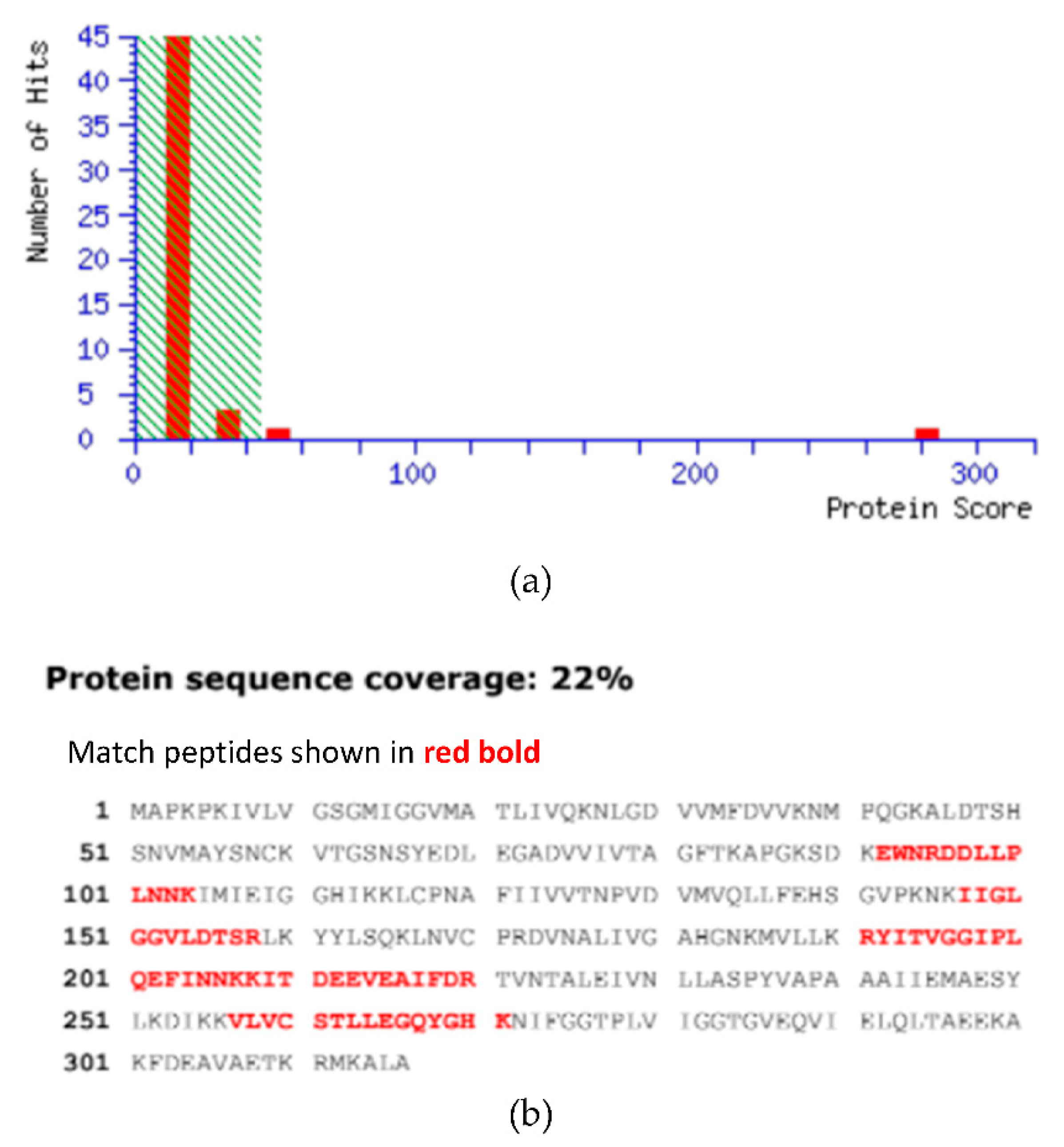 Molecules 26 06625 g005 Molecules 26 06625 g005