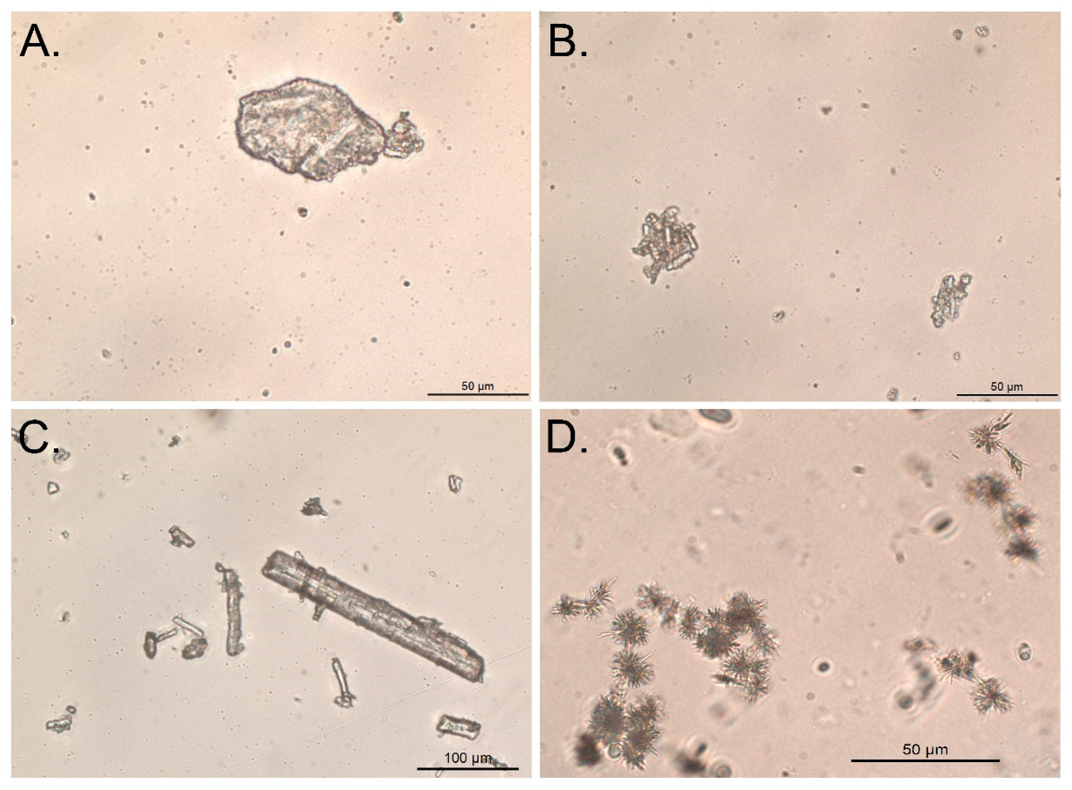 Molecules 26 06631 g007 550