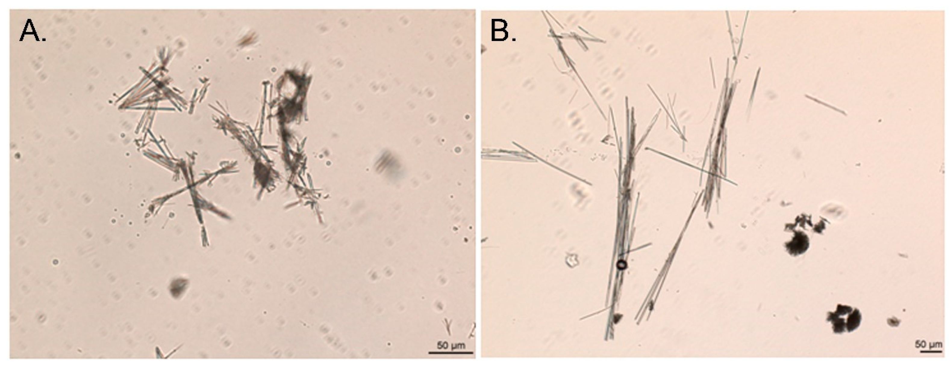 Molecules 26 06631 g011 550