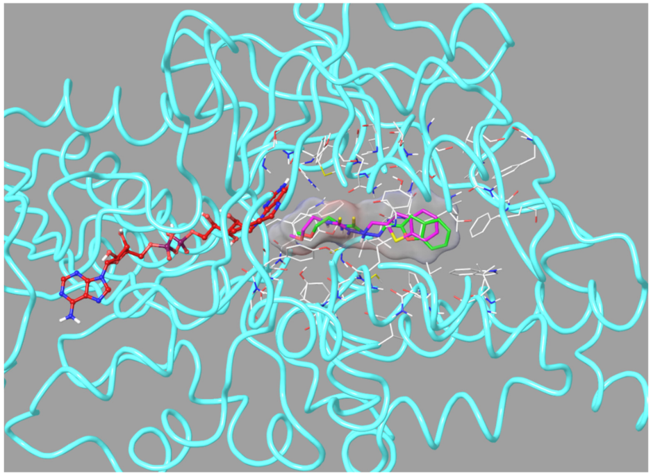 Molecules 26 06640 g006 550