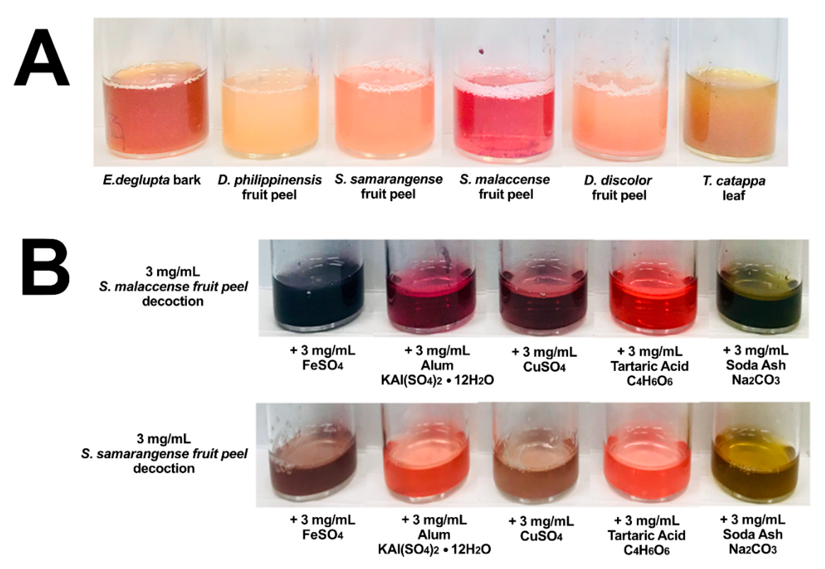 Molecules 26 06645 g002 Molecules 26 06645 g002