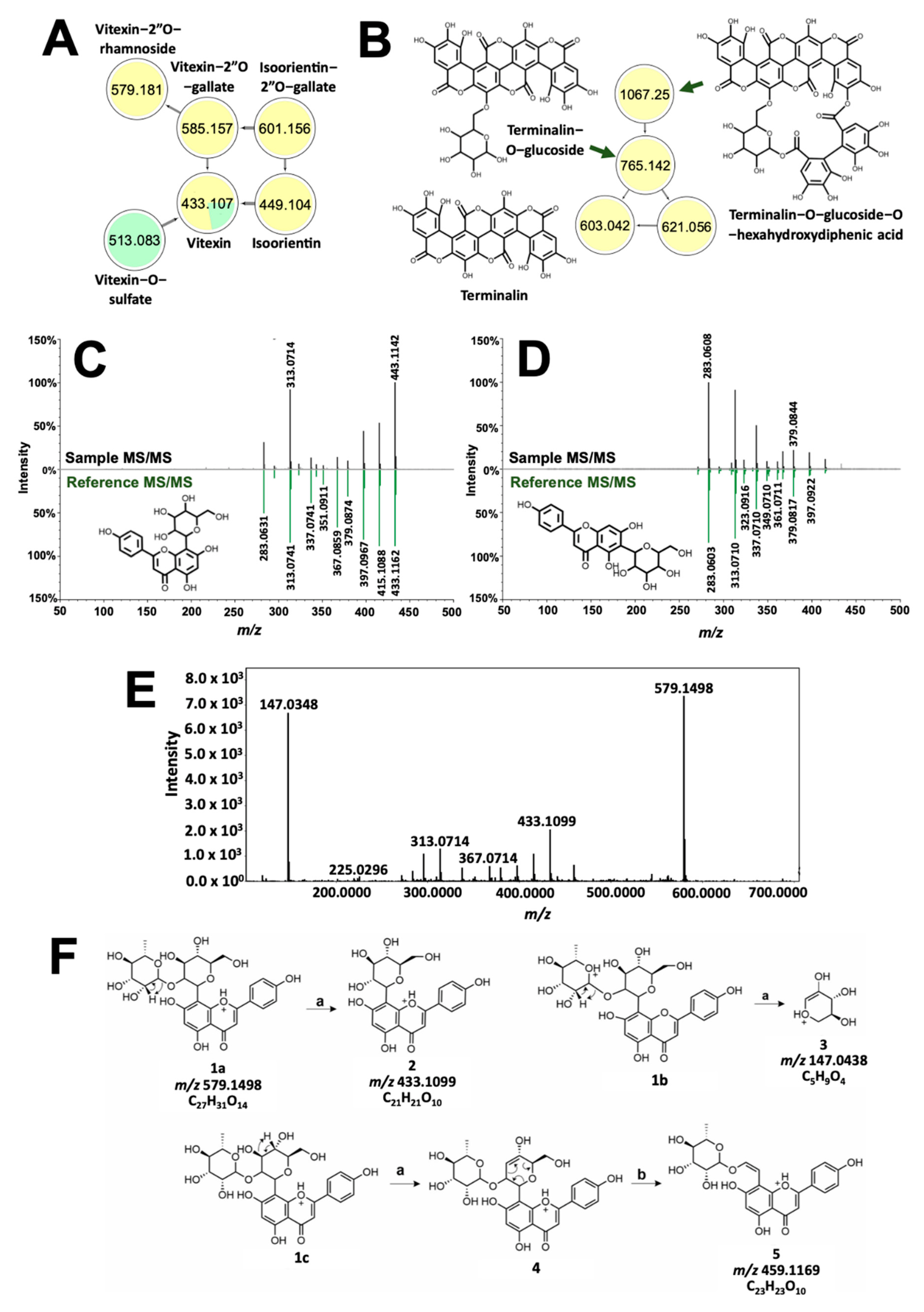 Molecules 26 06645 g006 Molecules 26 06645 g006