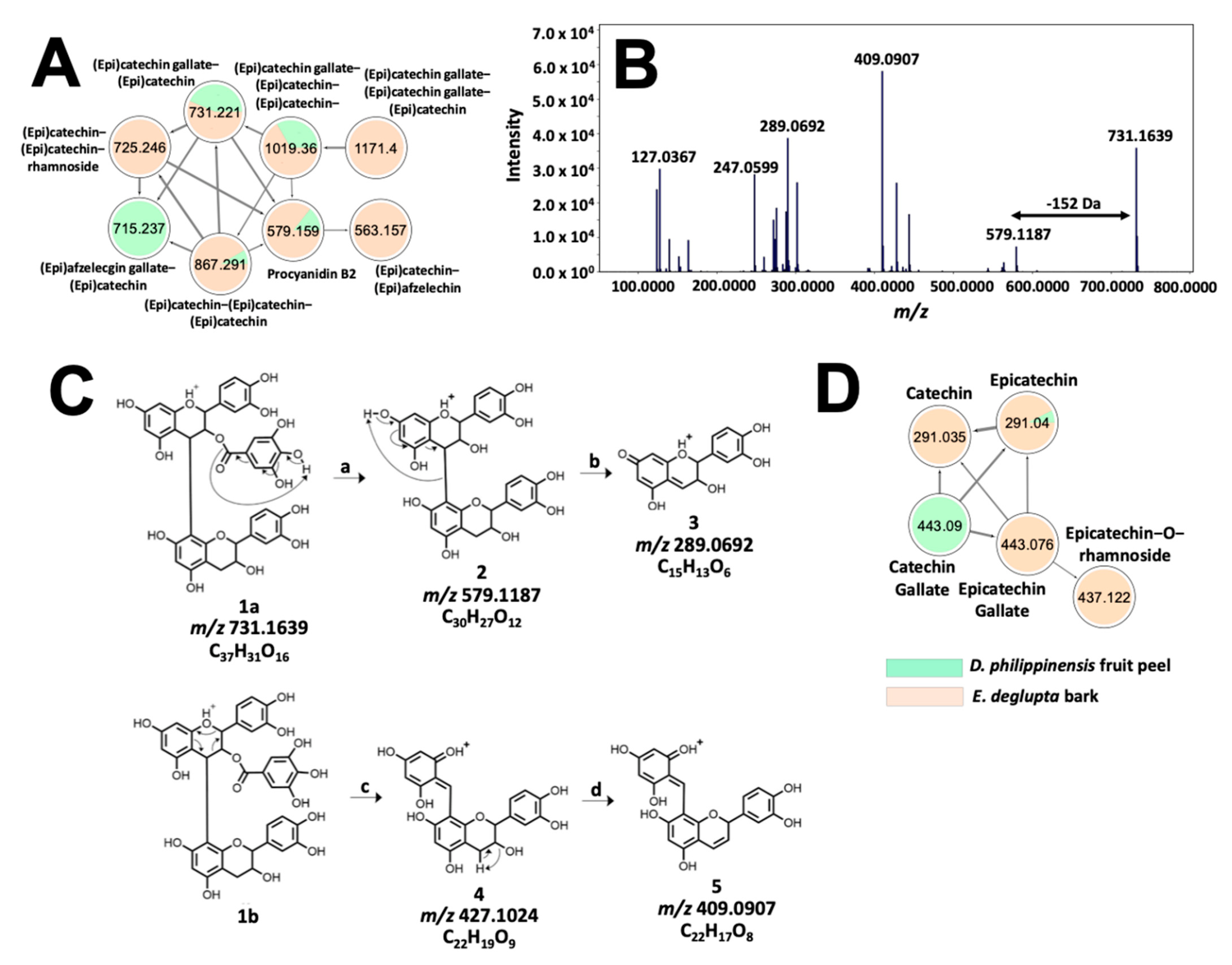 Molecules 26 06645 g007 Molecules 26 06645 g007