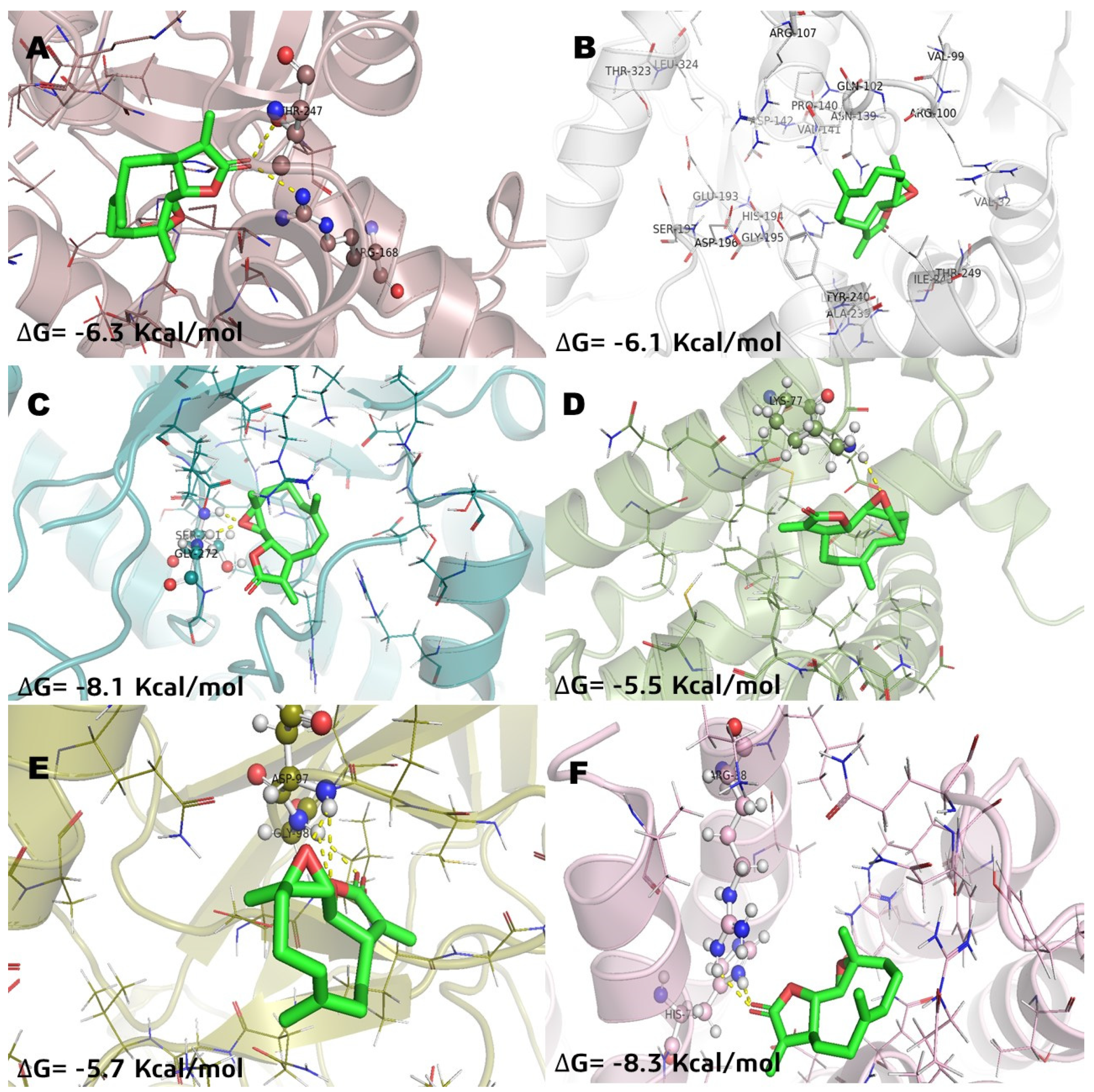 Molecules 26 06646 g003