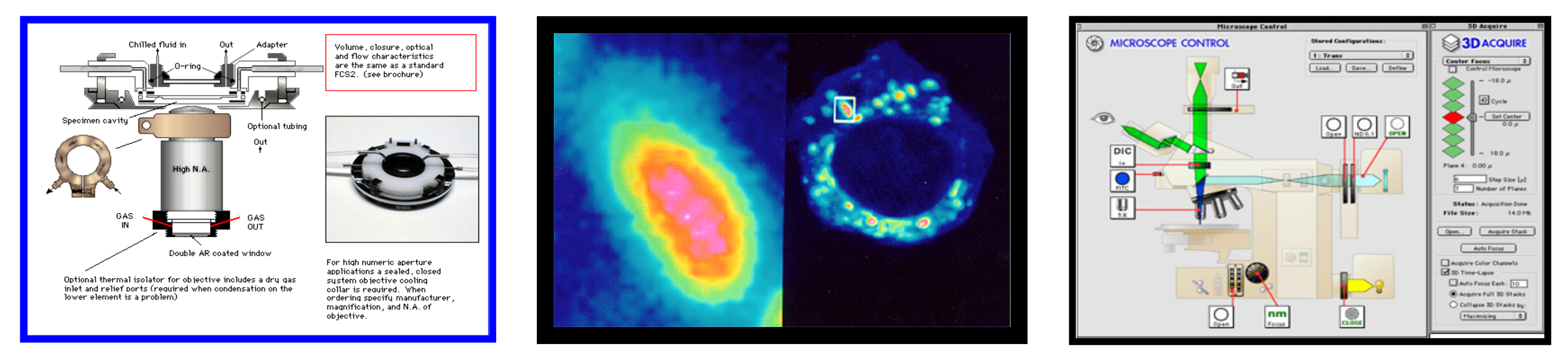 Molecules 26 06651 g002