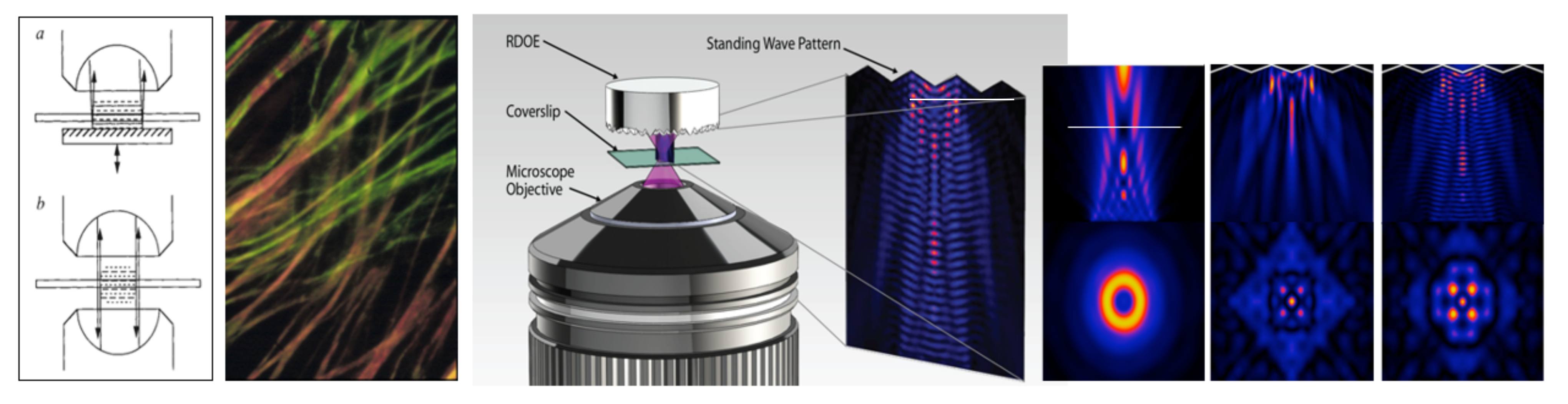 Molecules 26 06651 g004