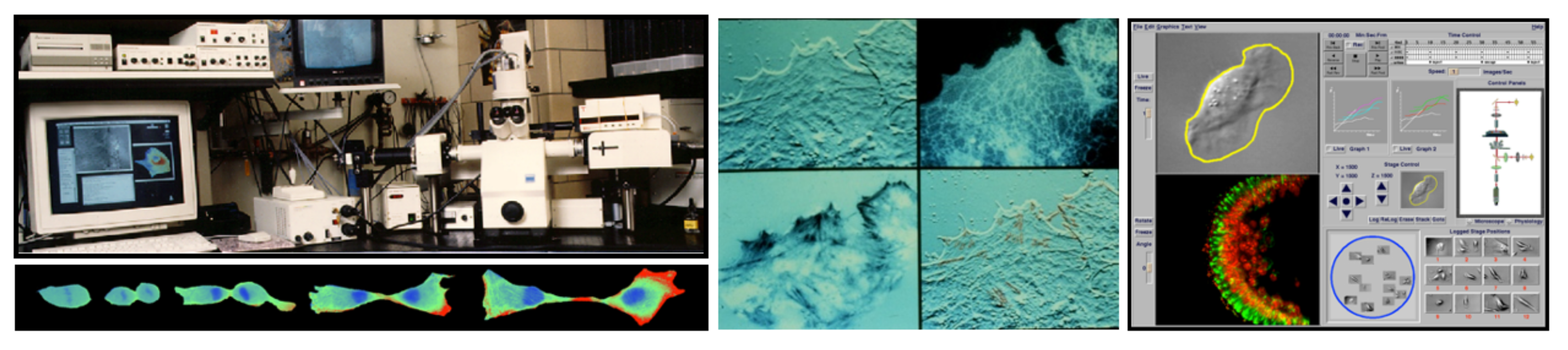 Molecules 26 06651 g005