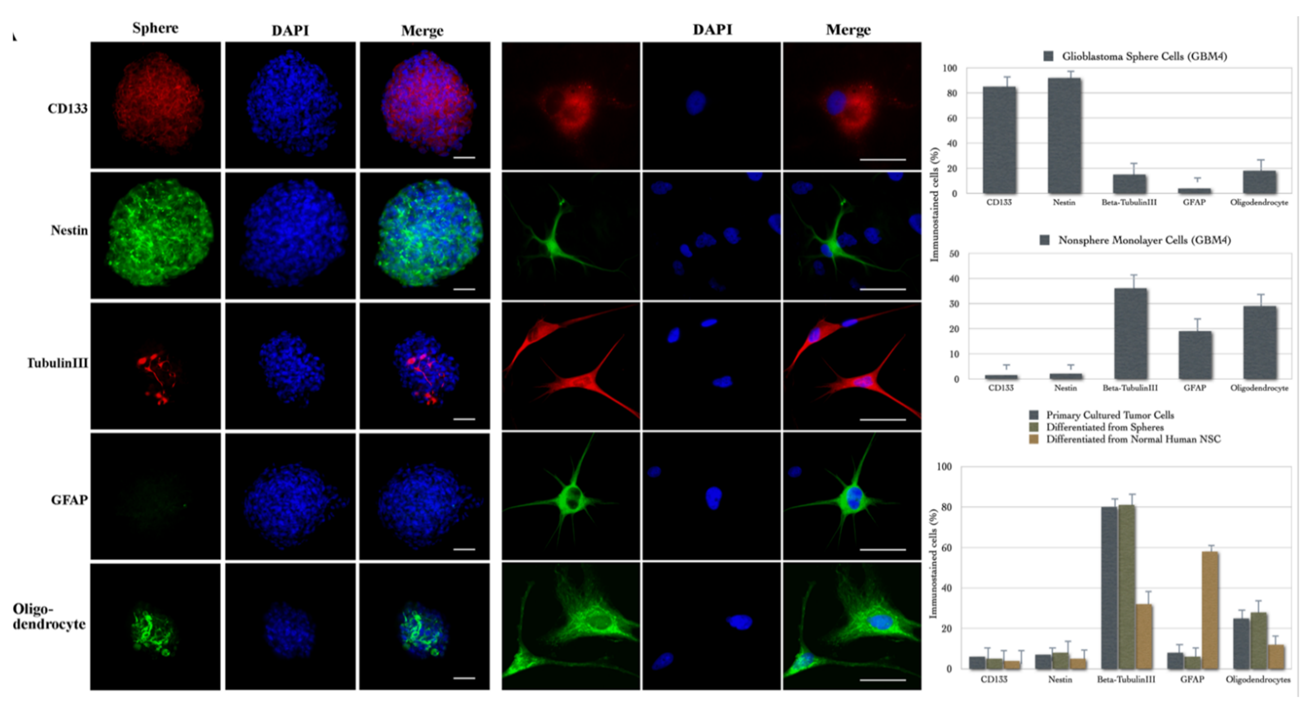Molecules 26 06651 g007