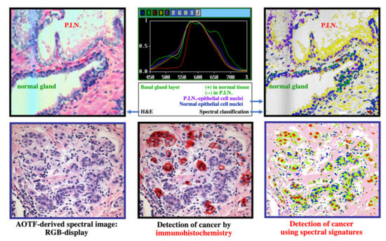 Molecules Free Full Text Biomedical Applications Of Translational Optical Imaging From Molecules To Humans Html