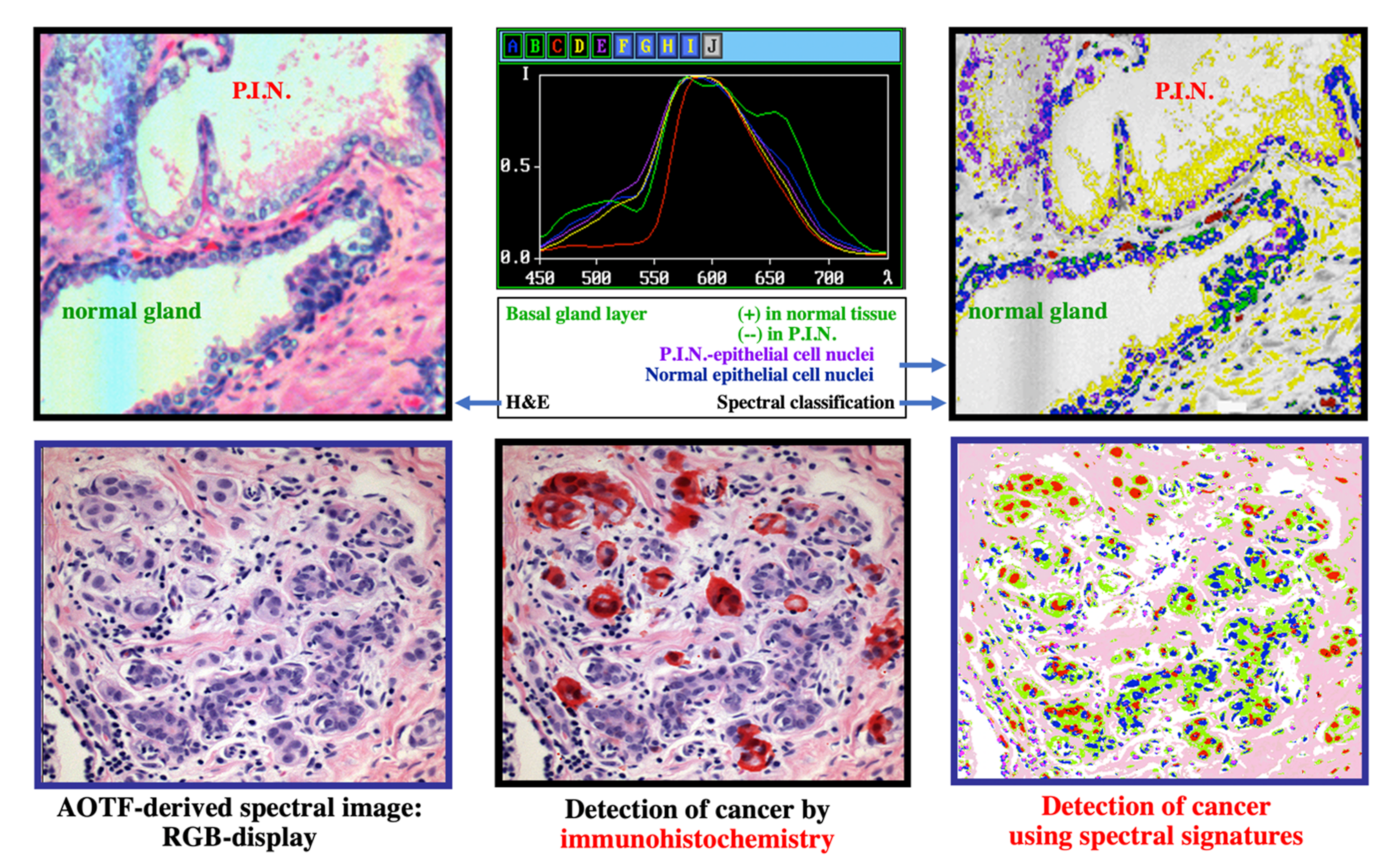 Molecules 26 06651 g009