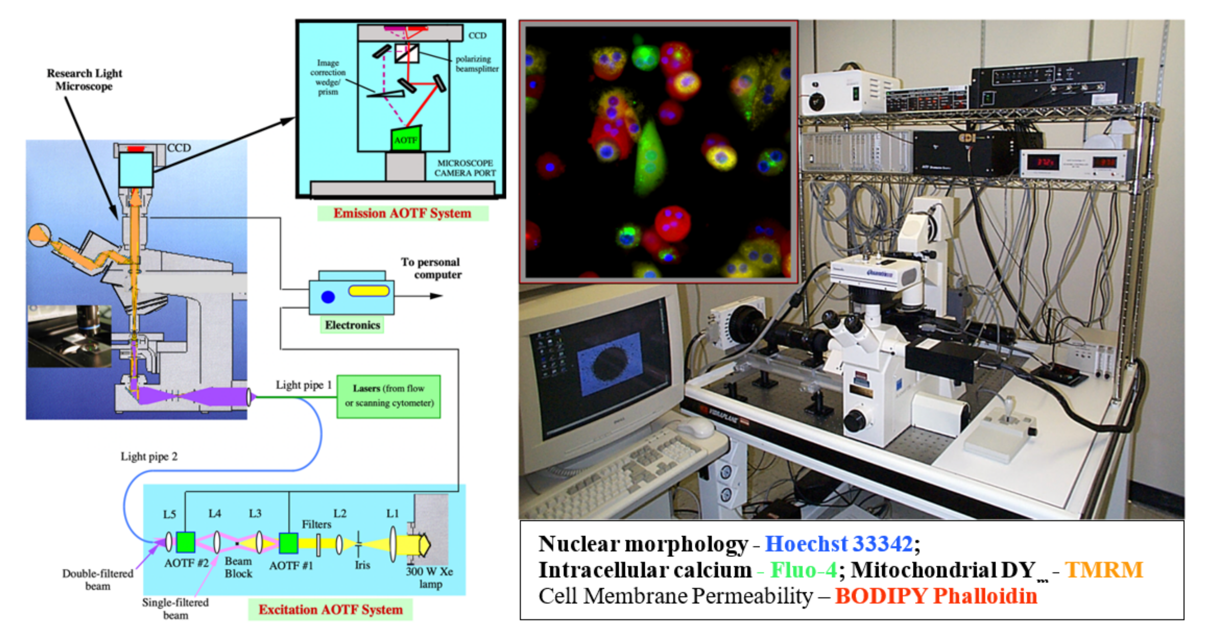Molecules 26 06651 g010