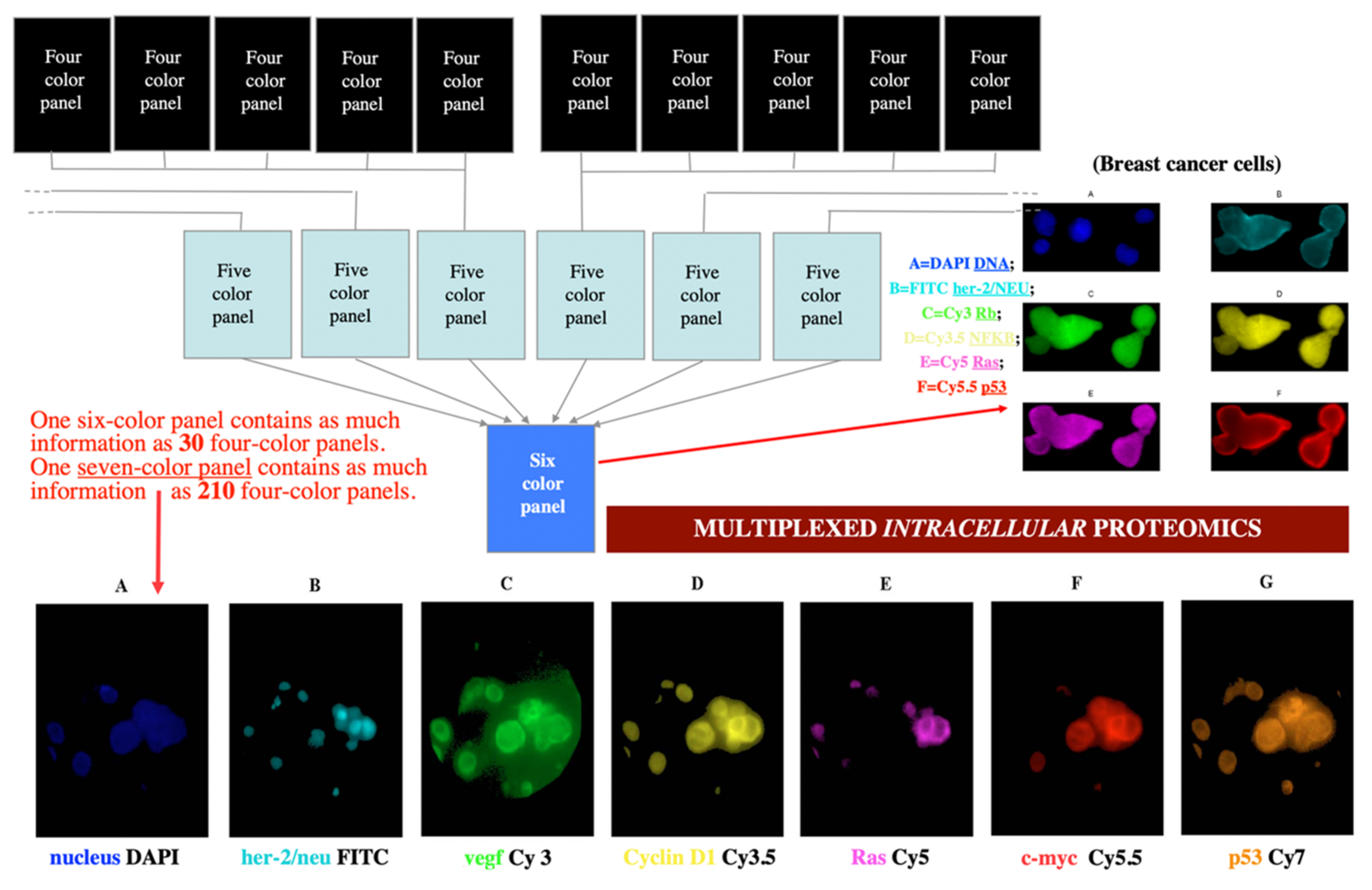 Molecules 26 06651 g011