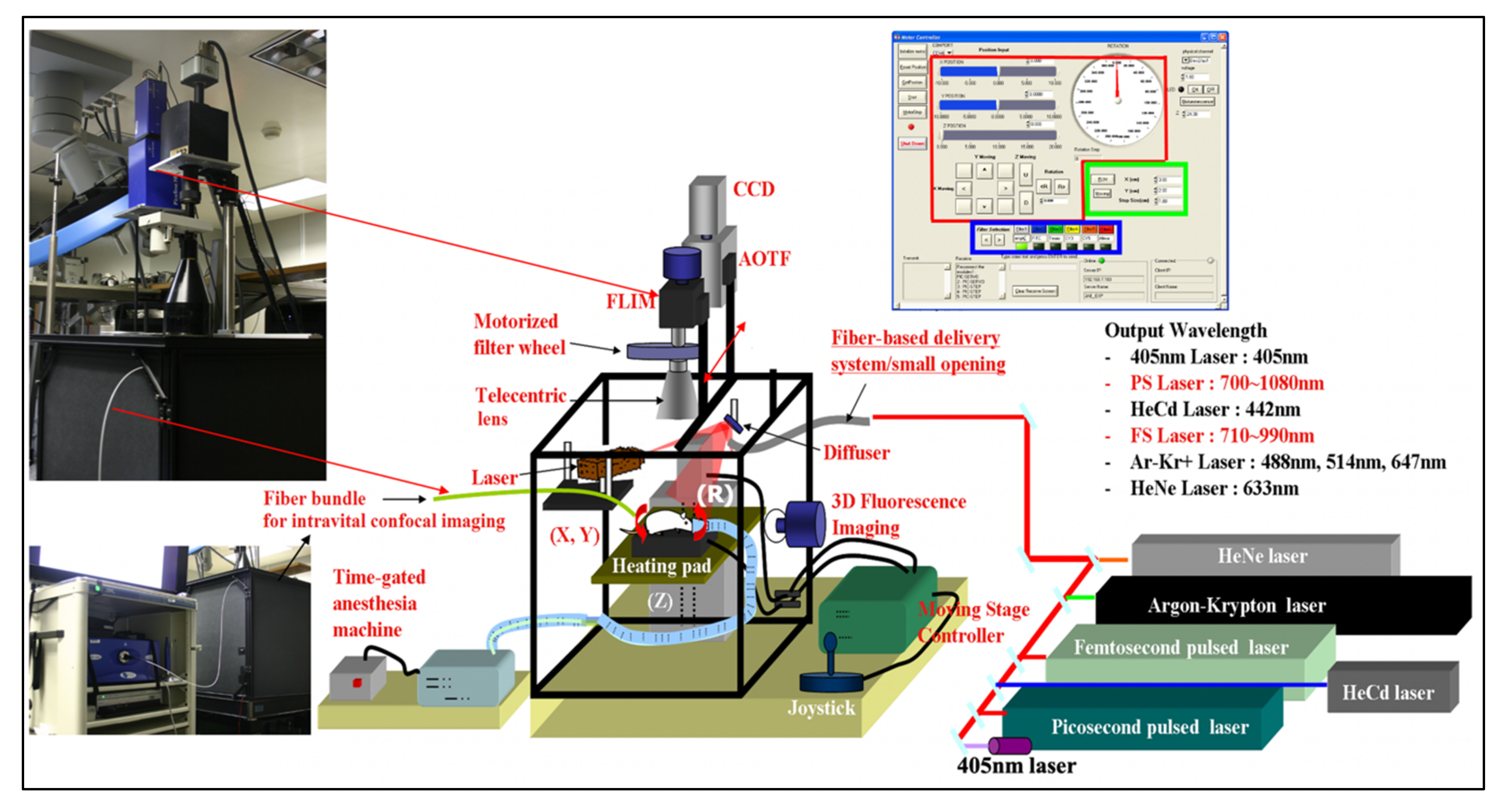 Molecules 26 06651 g014
