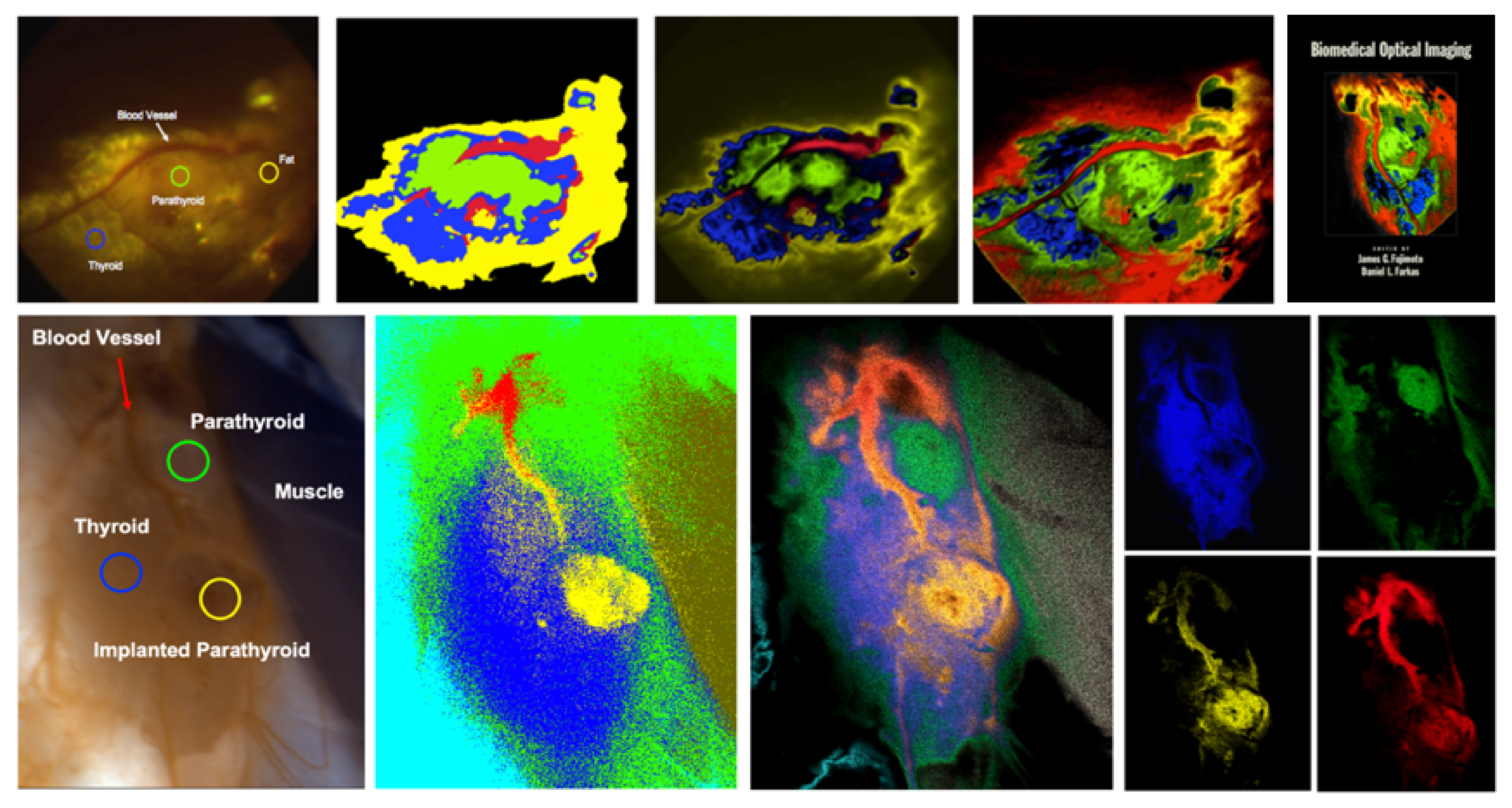 Molecules 26 06651 g015