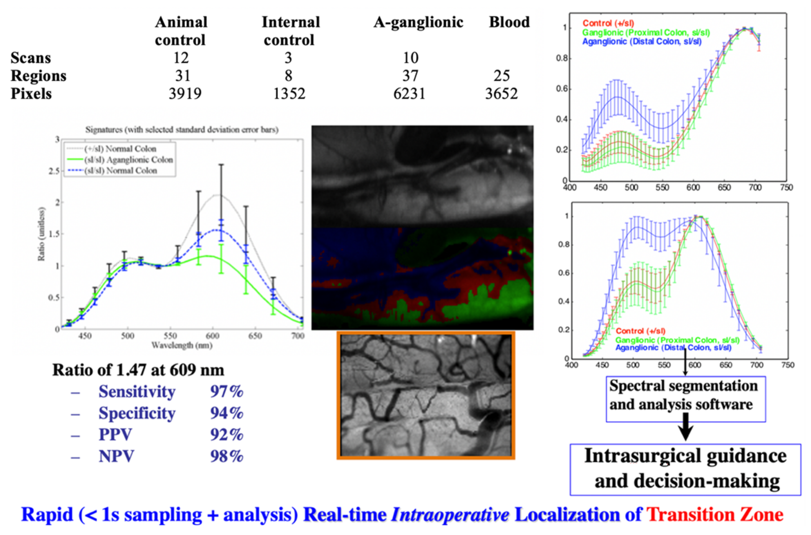 Molecules 26 06651 g017