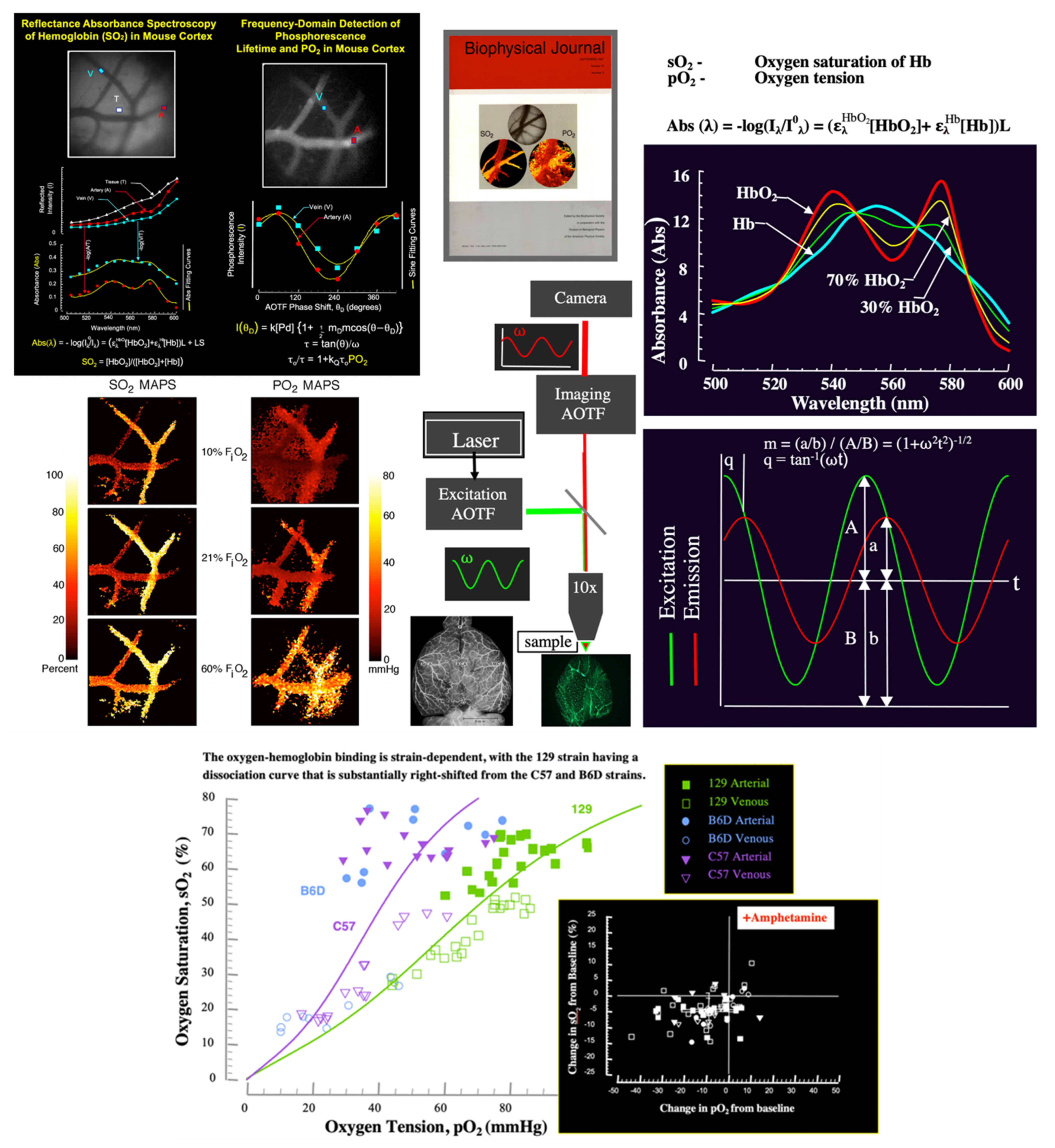 Molecules 26 06651 g020