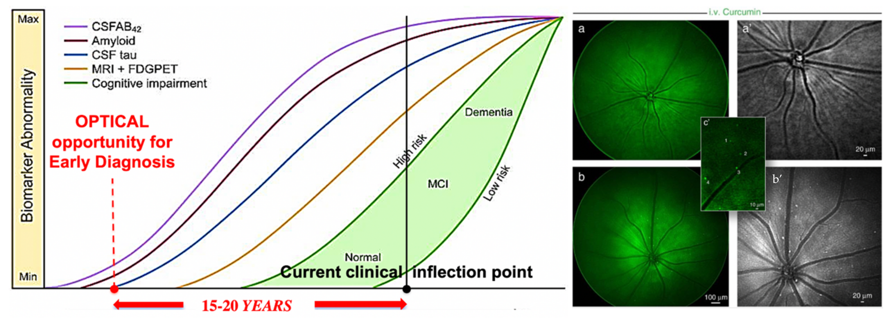 Molecules 26 06651 g021