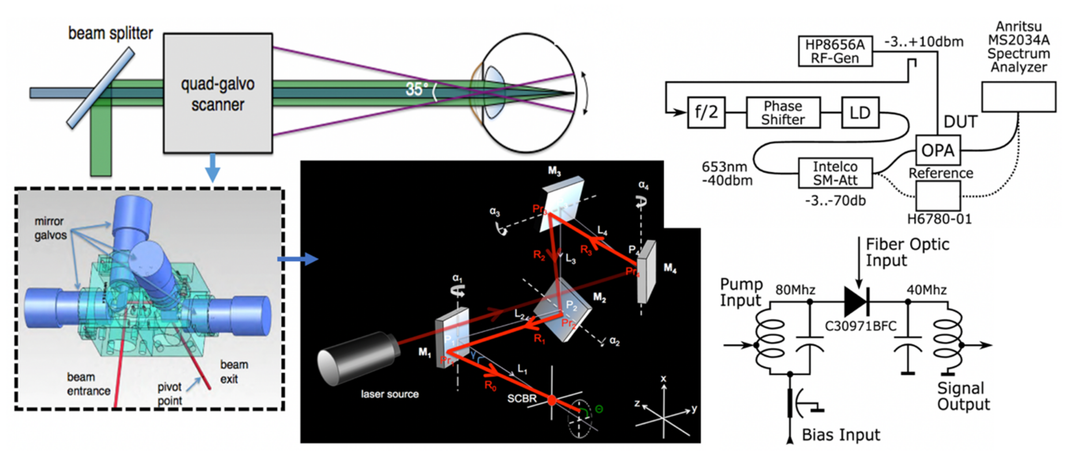 Molecules Free Full Text Biomedical Applications Of Translational Optical Imaging From Molecules To Humans Html