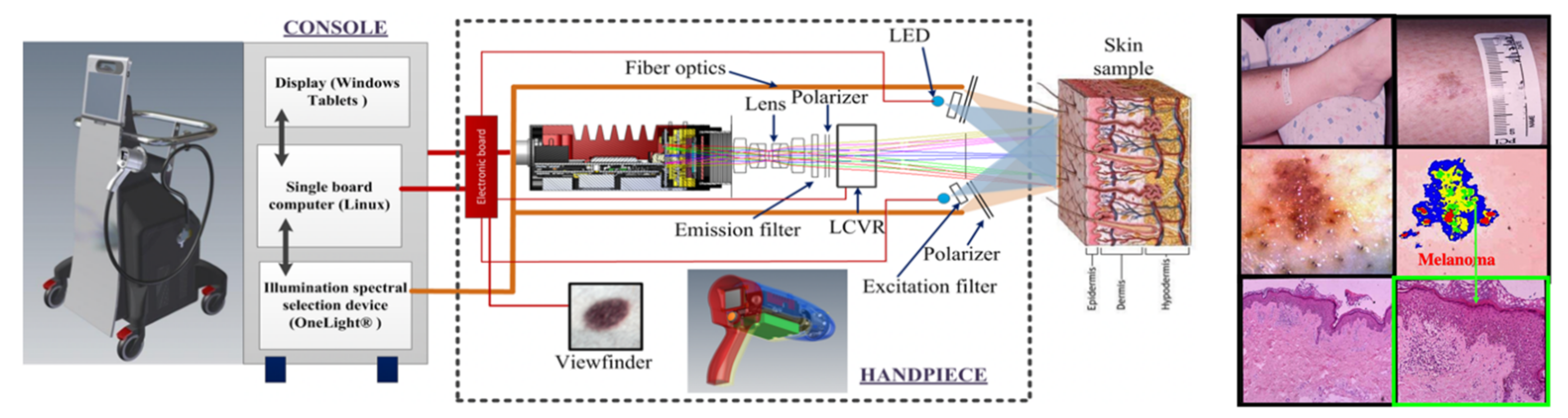 Molecules 26 06651 g023