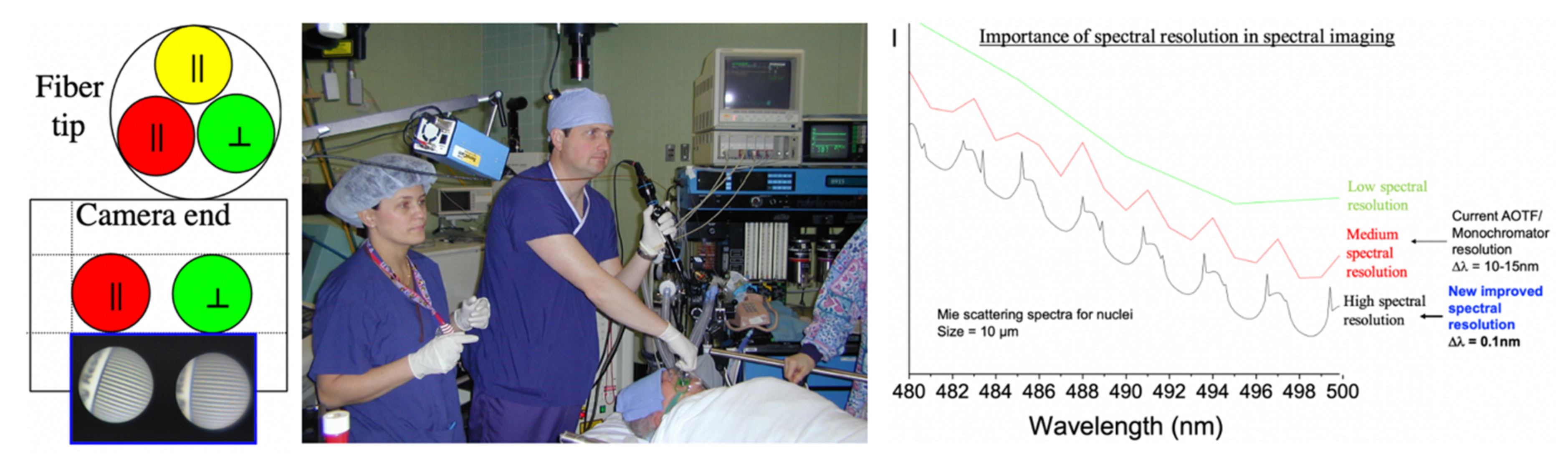 Molecules 26 06651 g024