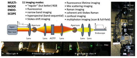 Molecules Free Full Text Biomedical Applications Of Translational Optical Imaging From Molecules To Humans Html