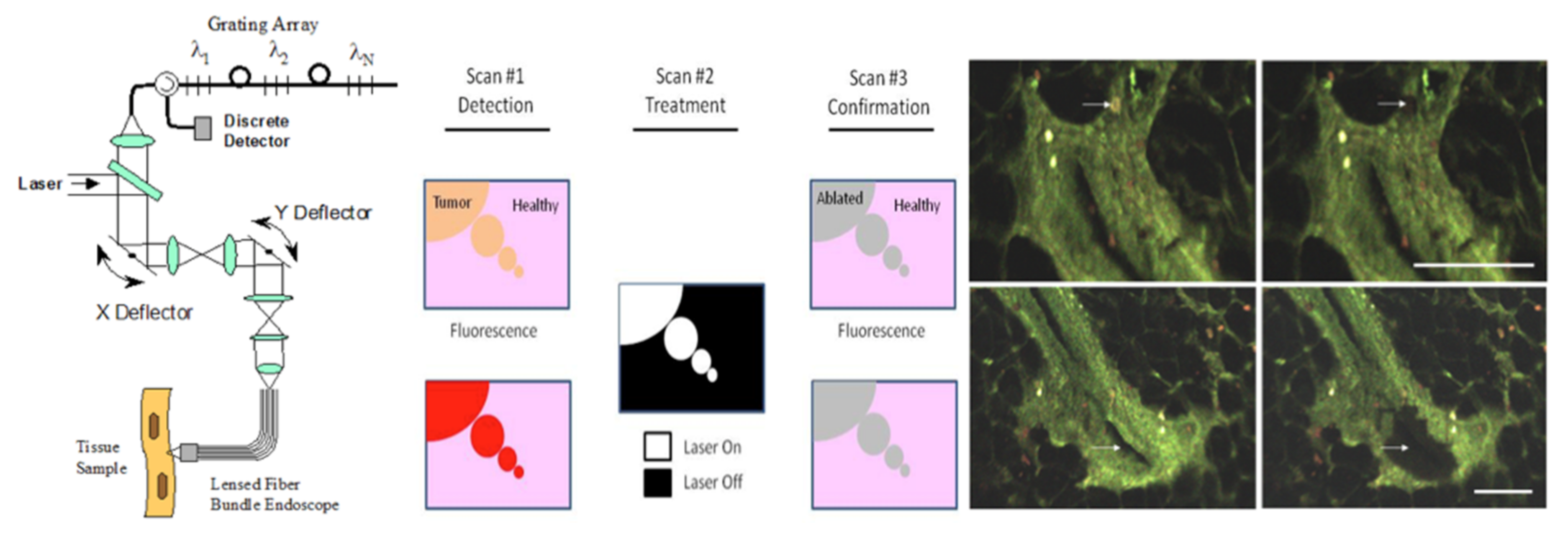 Molecules 26 06651 g026
