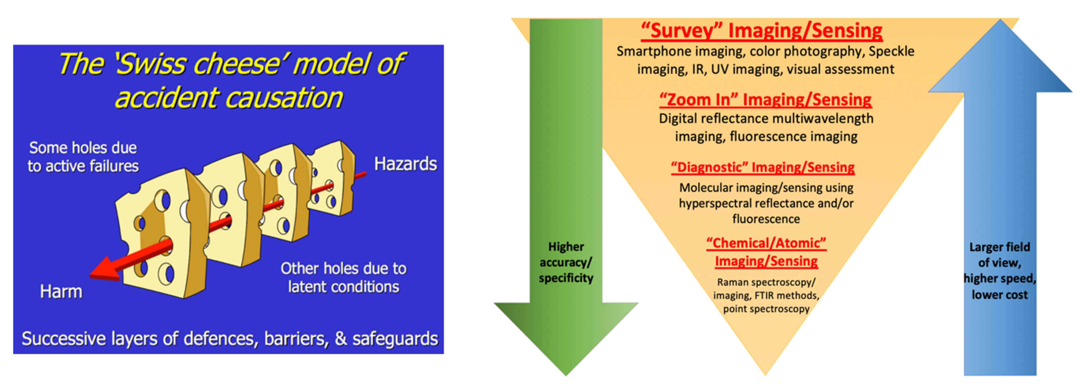 Molecules 26 06651 g028