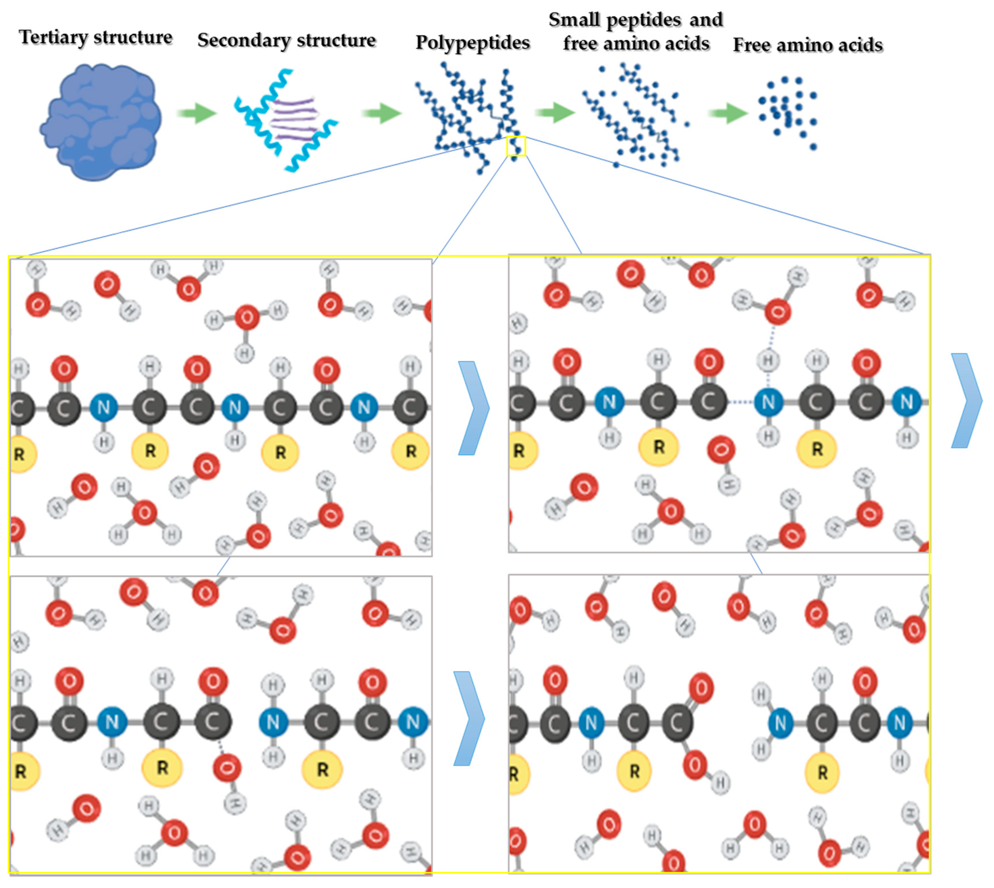 Molecules 26 06655 g002 550