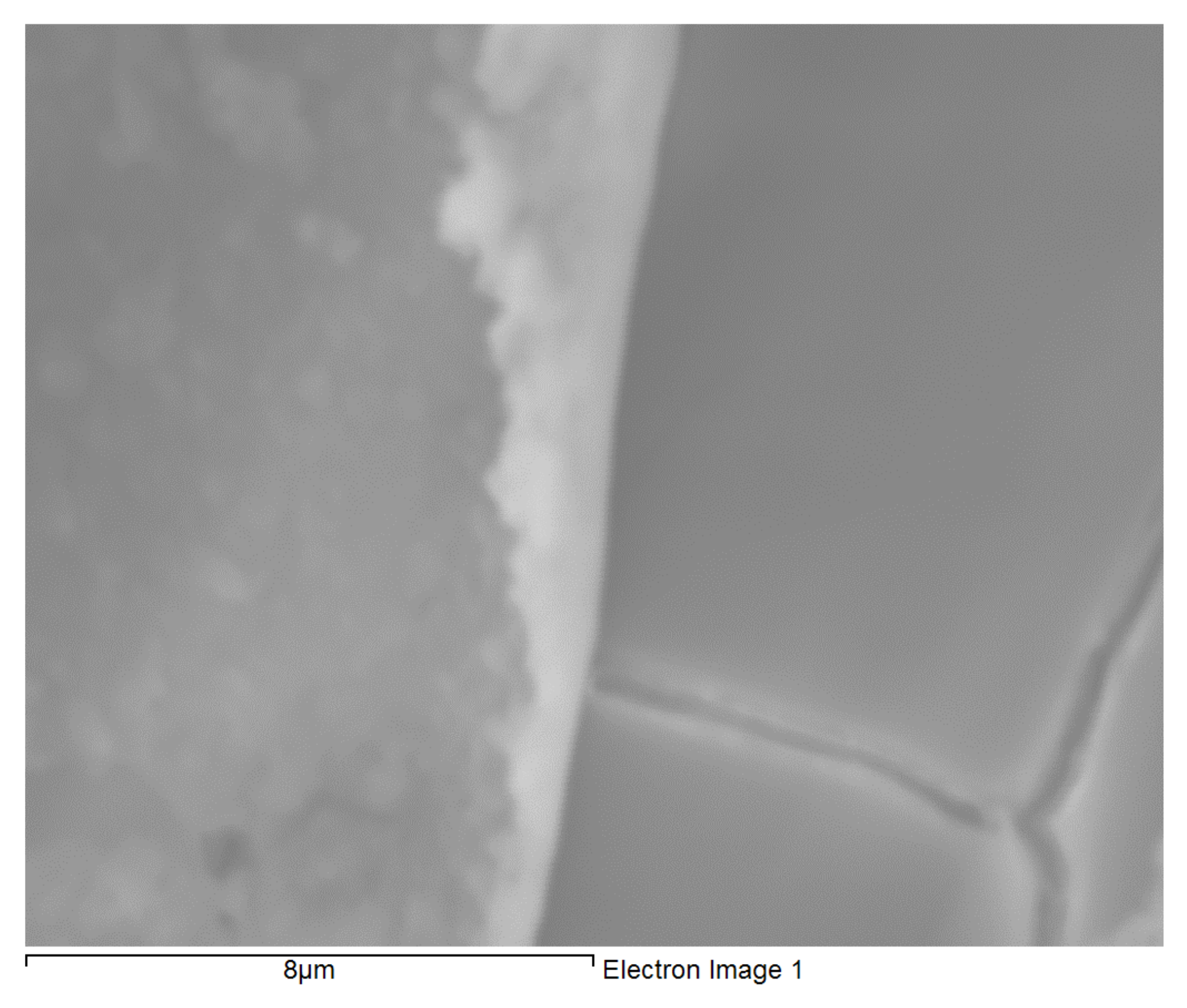Molecules 26 06663 g002