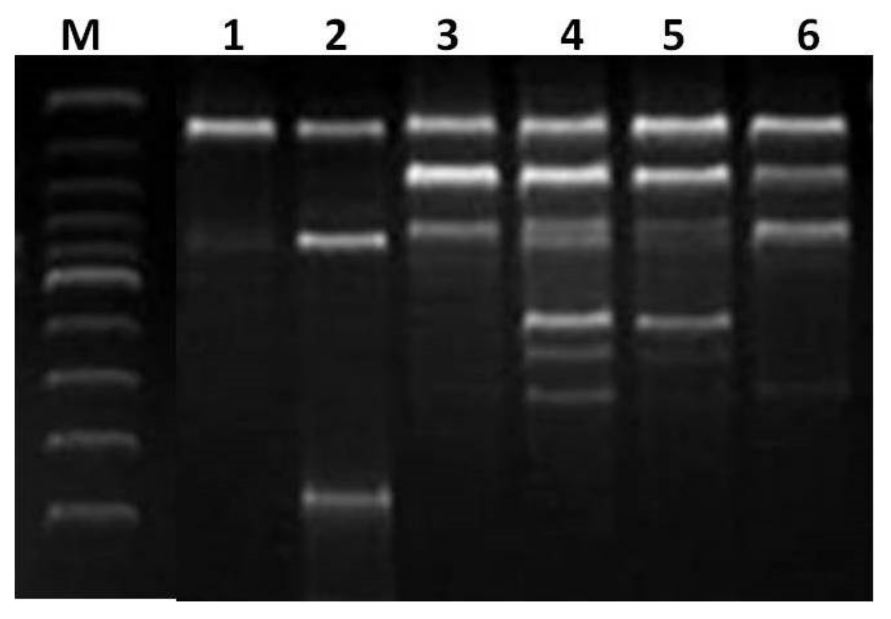 Molecules 26 06665 g009