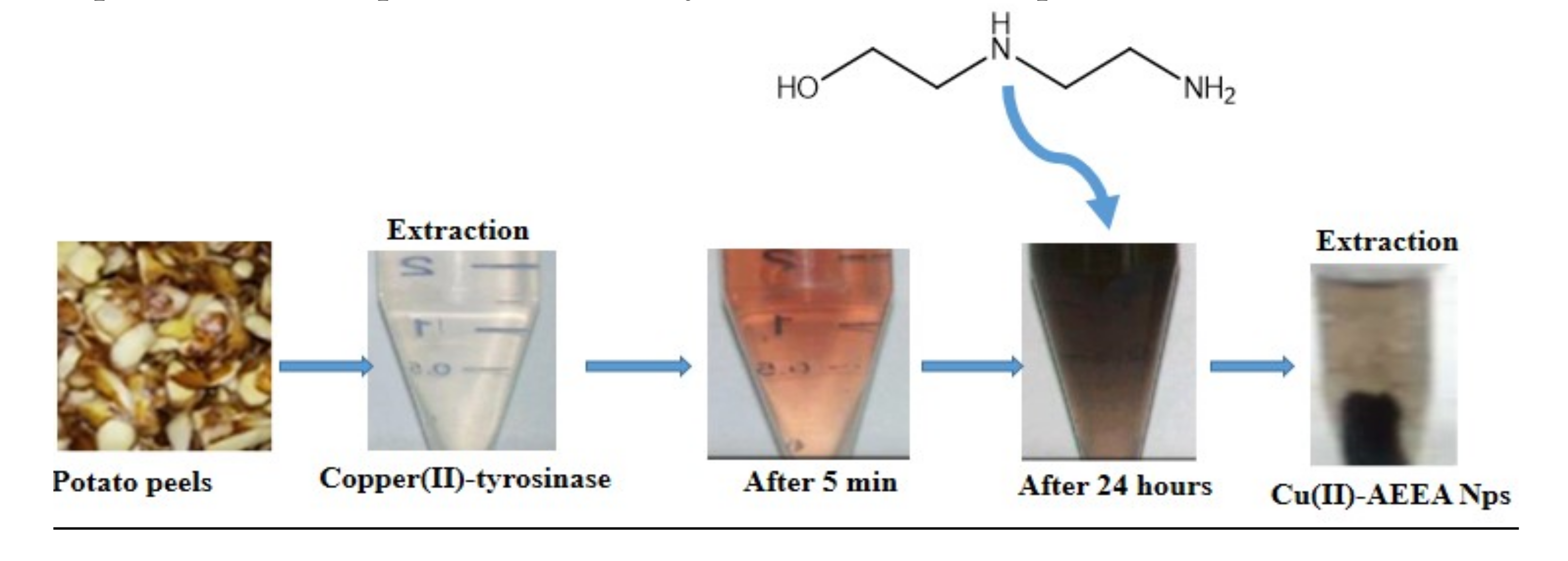 Molecules 26 06665 sch001a