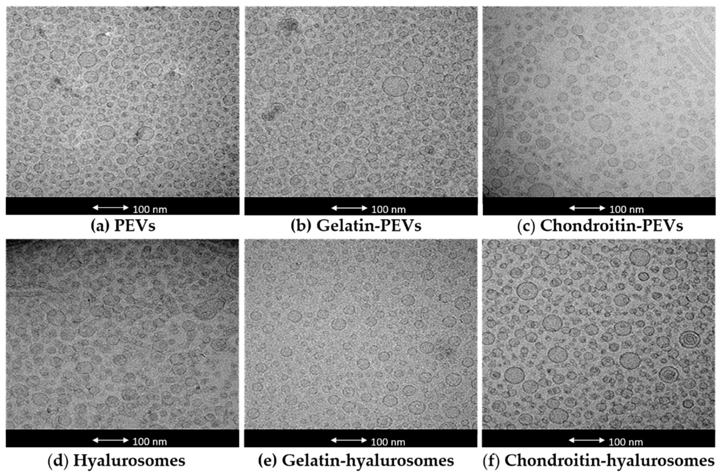 Molecules 26 06670 g001 Molecules 26 06670 g001