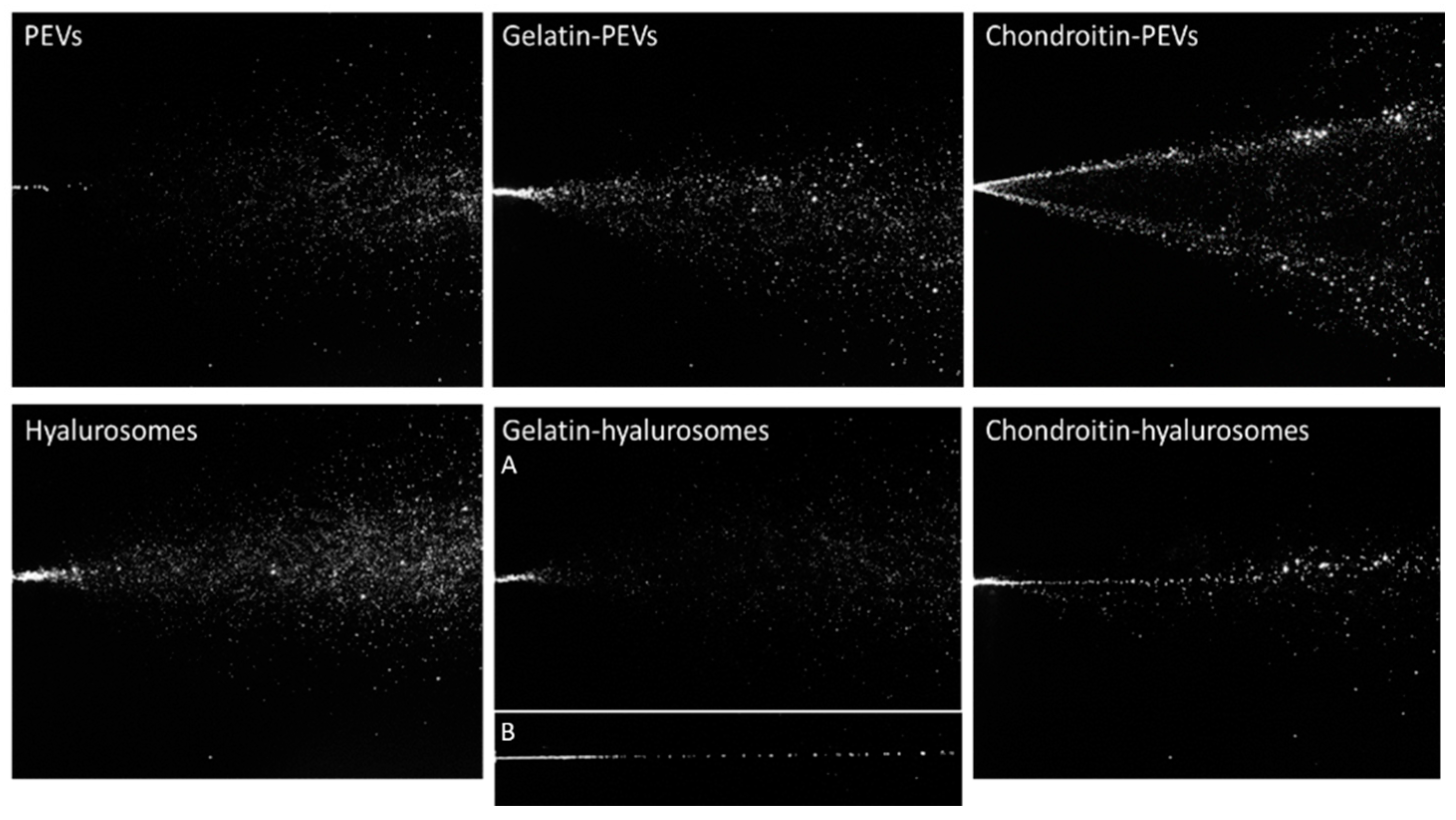 Molecules 26 06670 g003 Molecules 26 06670 g003