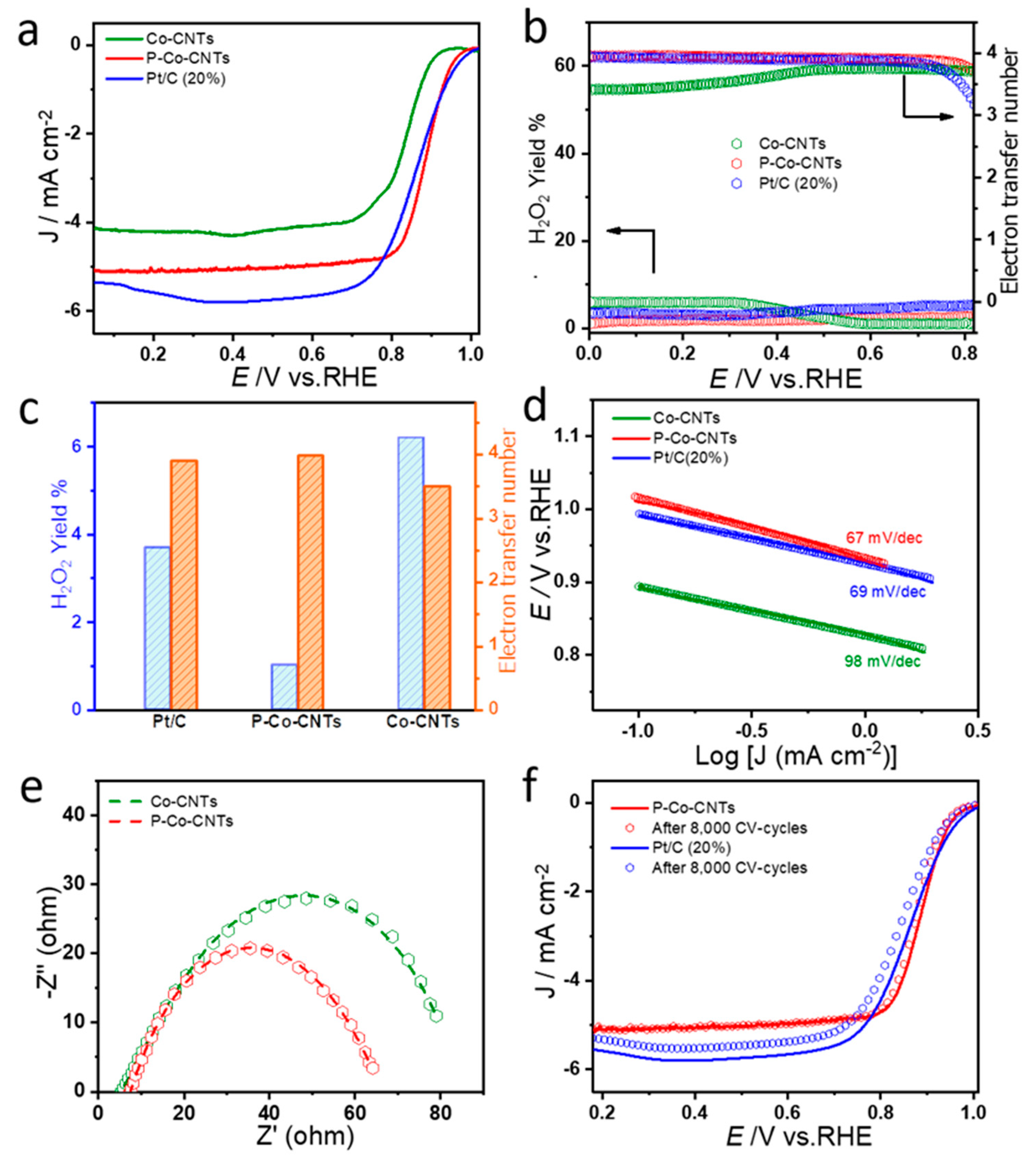 Molecules 26 06672 g004
