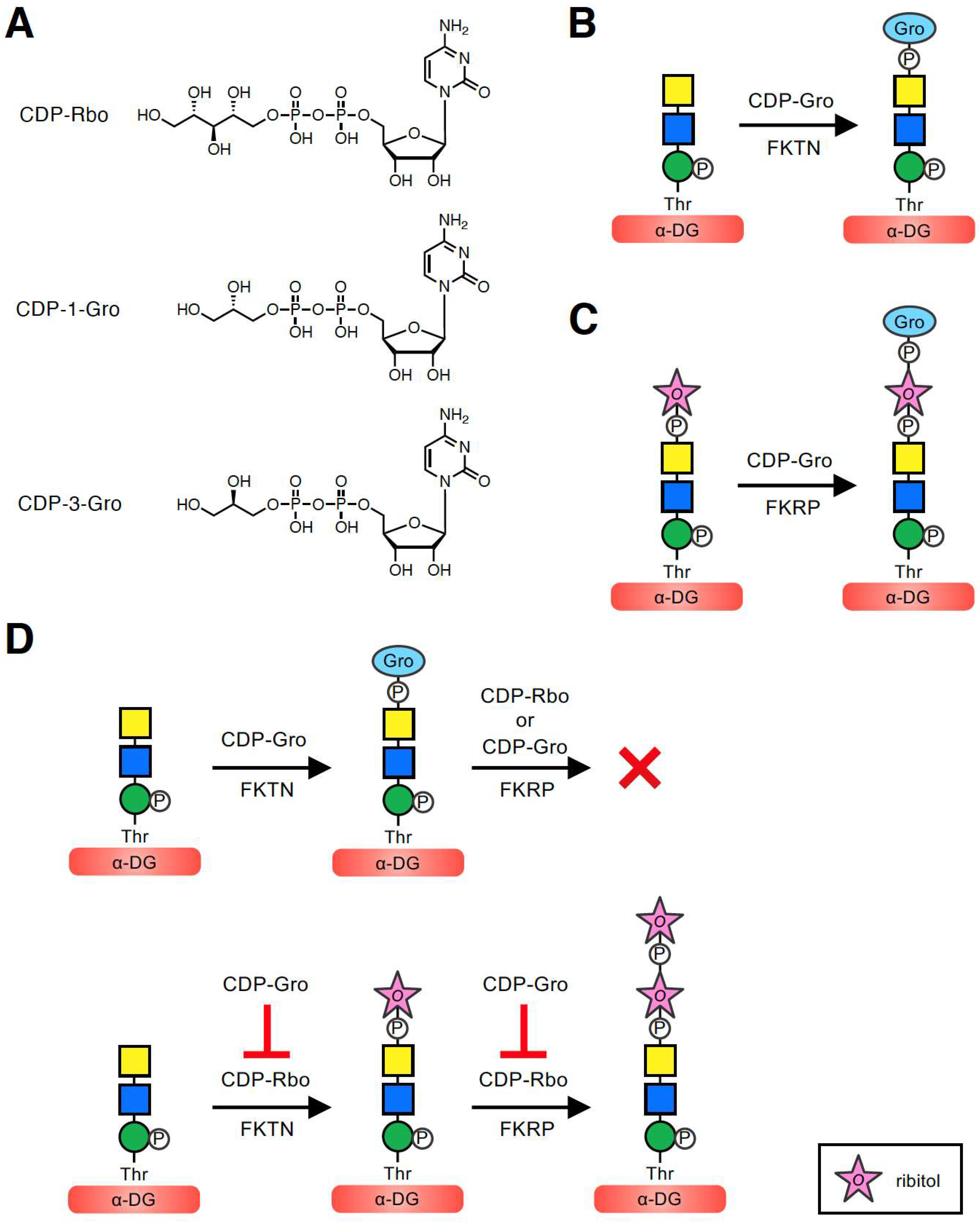 Molecules 26 06675 g002 Molecules 26 06675 g002