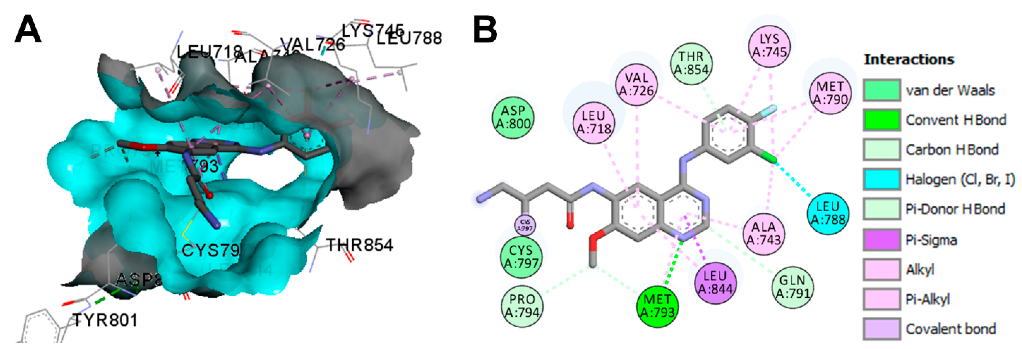 Molecules 26 06677 g023