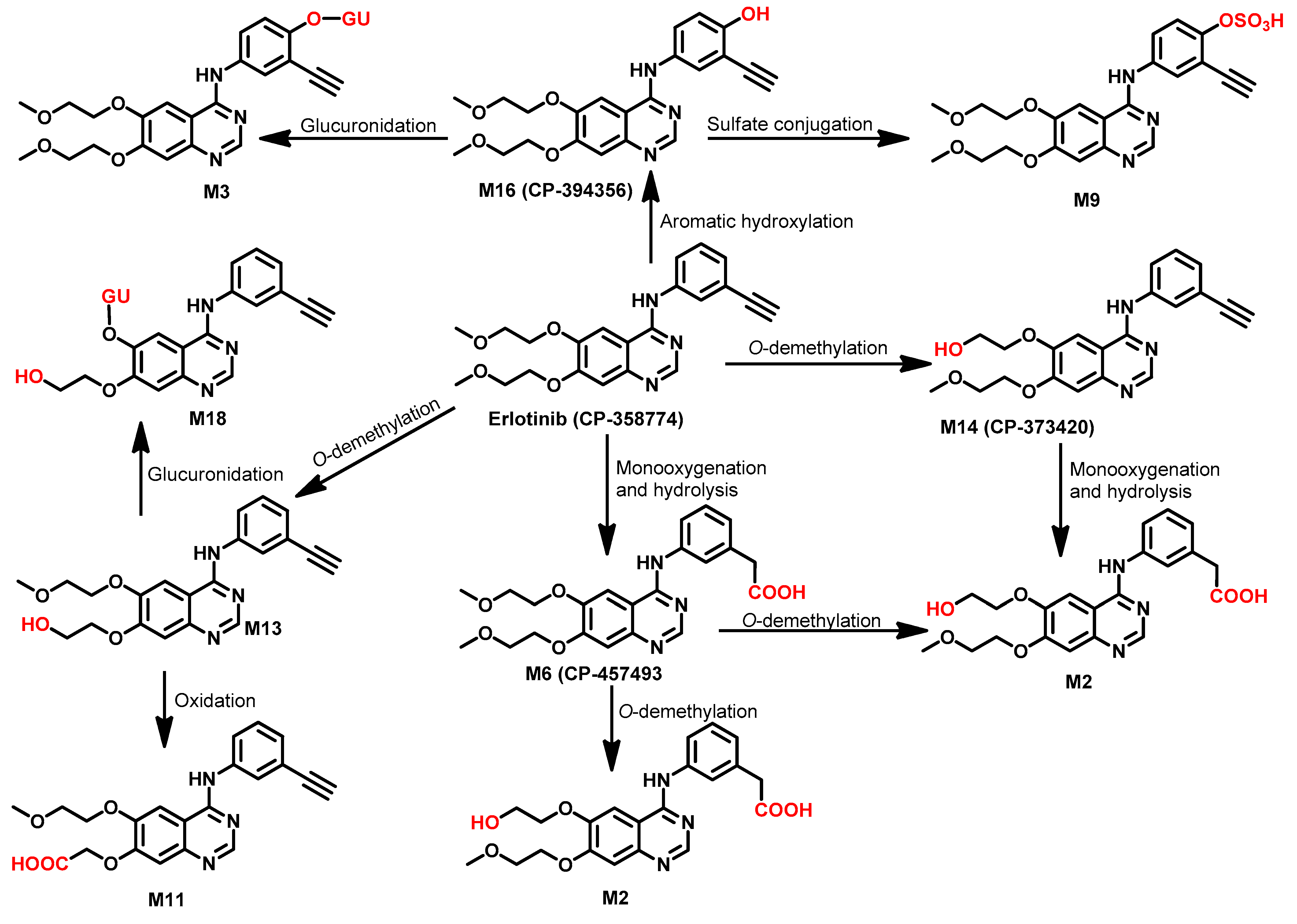 Molecules 26 06677 g029