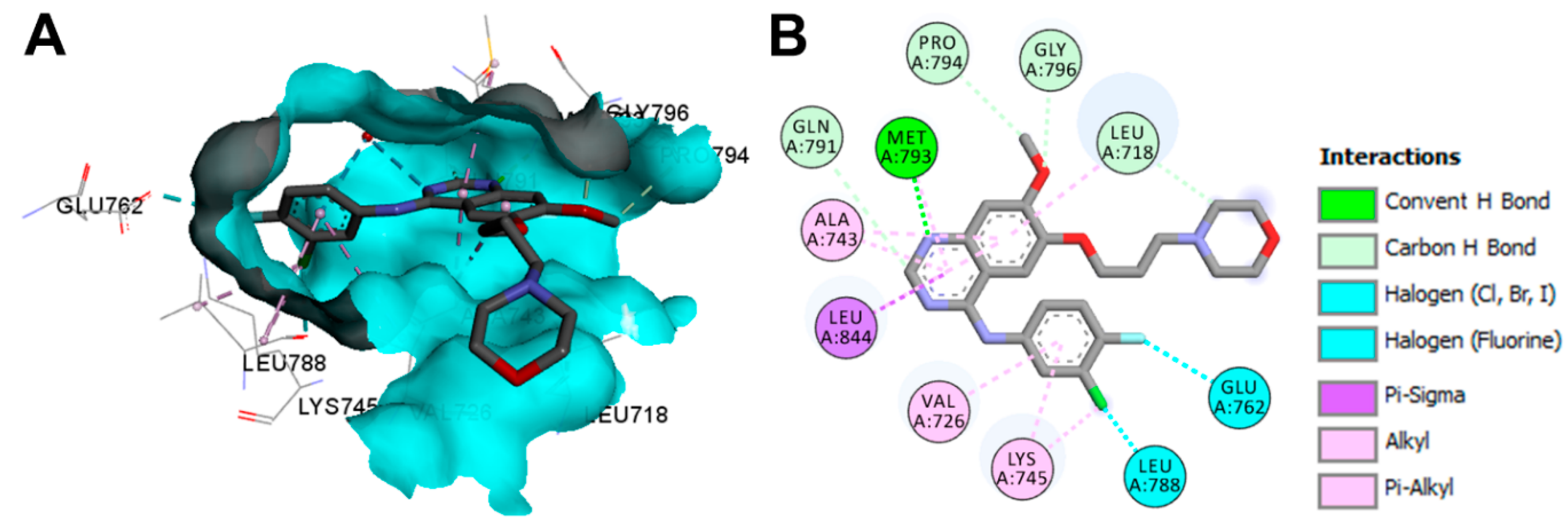 Molecules 26 06677 g032