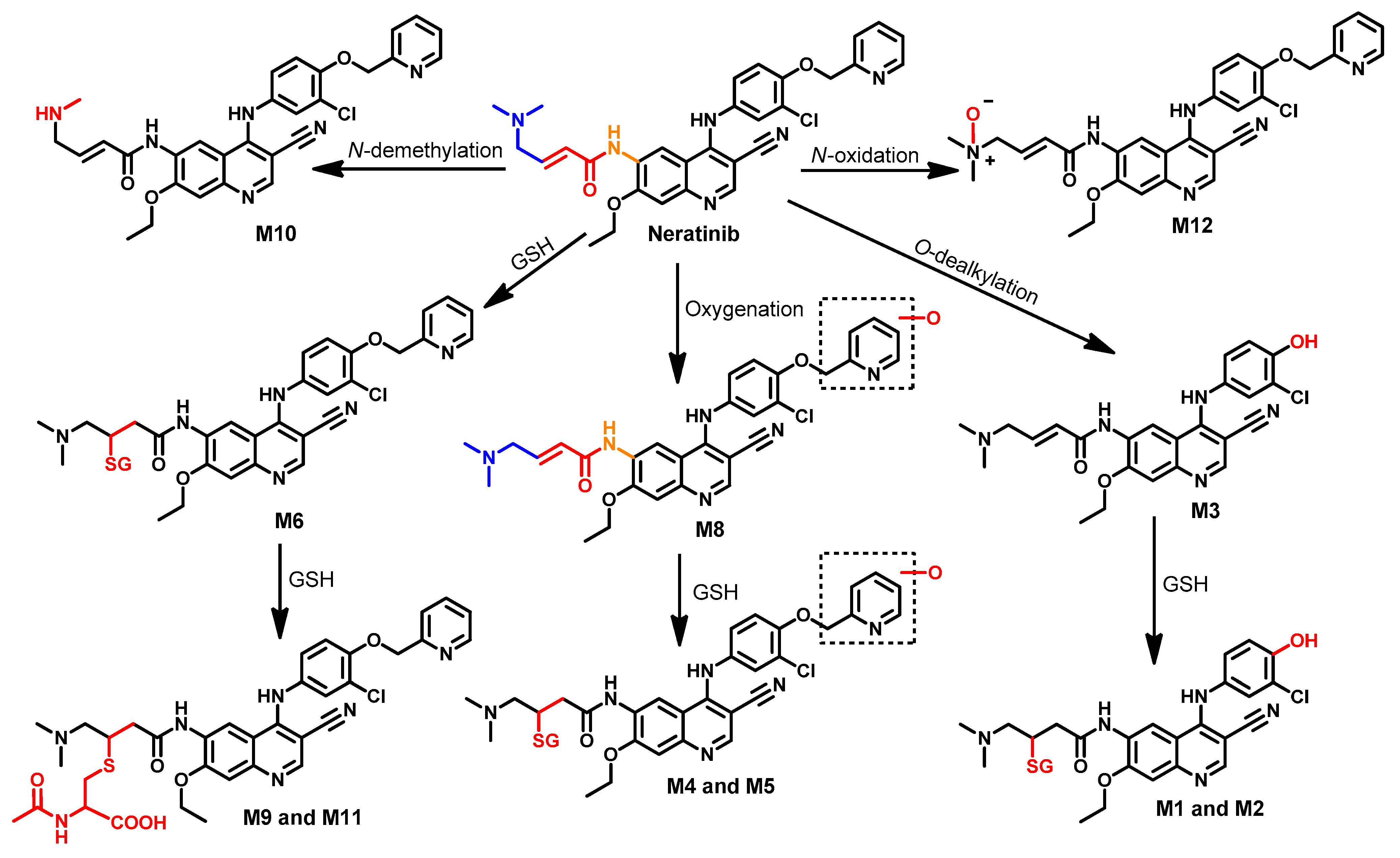 Molecules 26 06677 g047