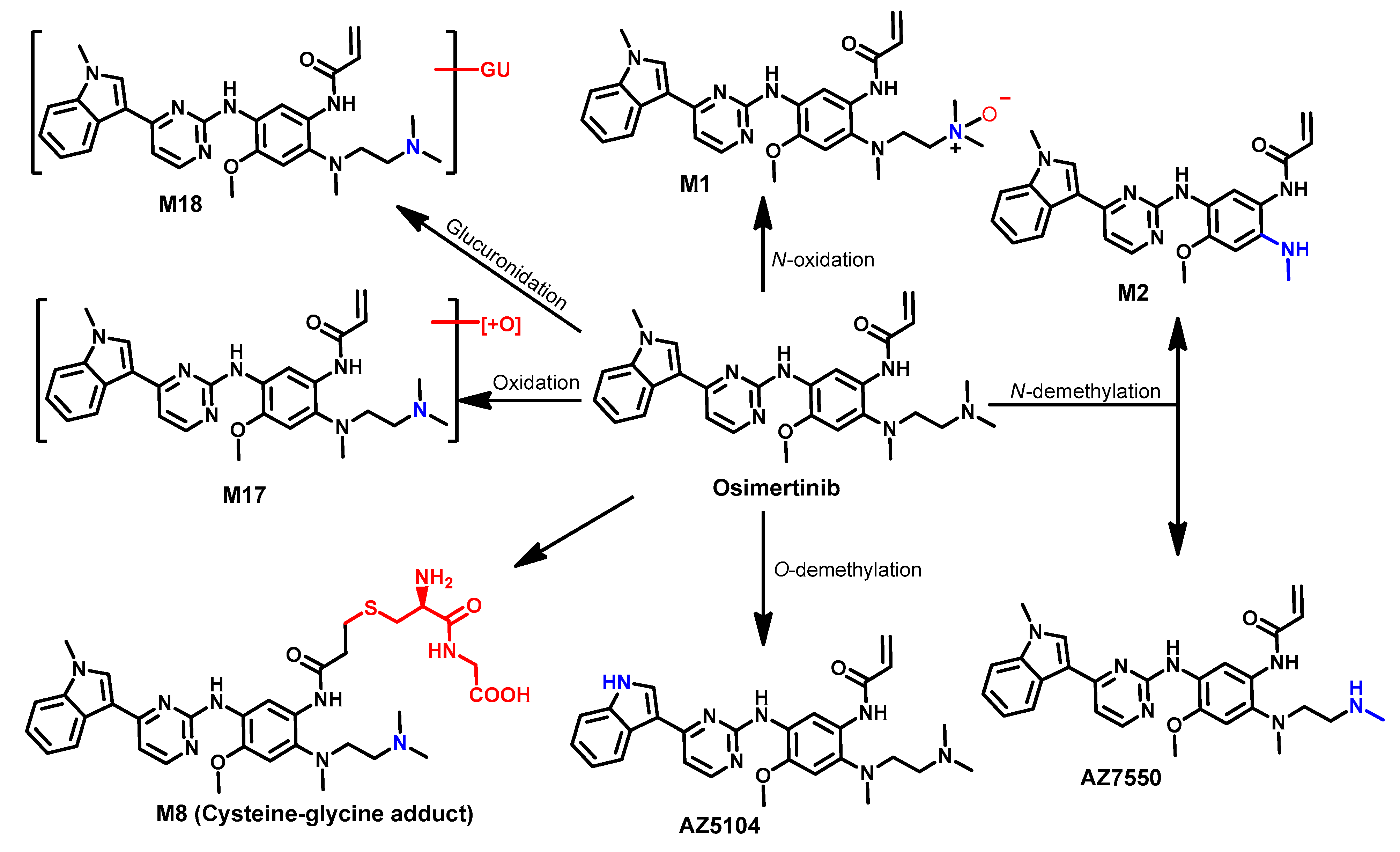 Molecules 26 06677 g056