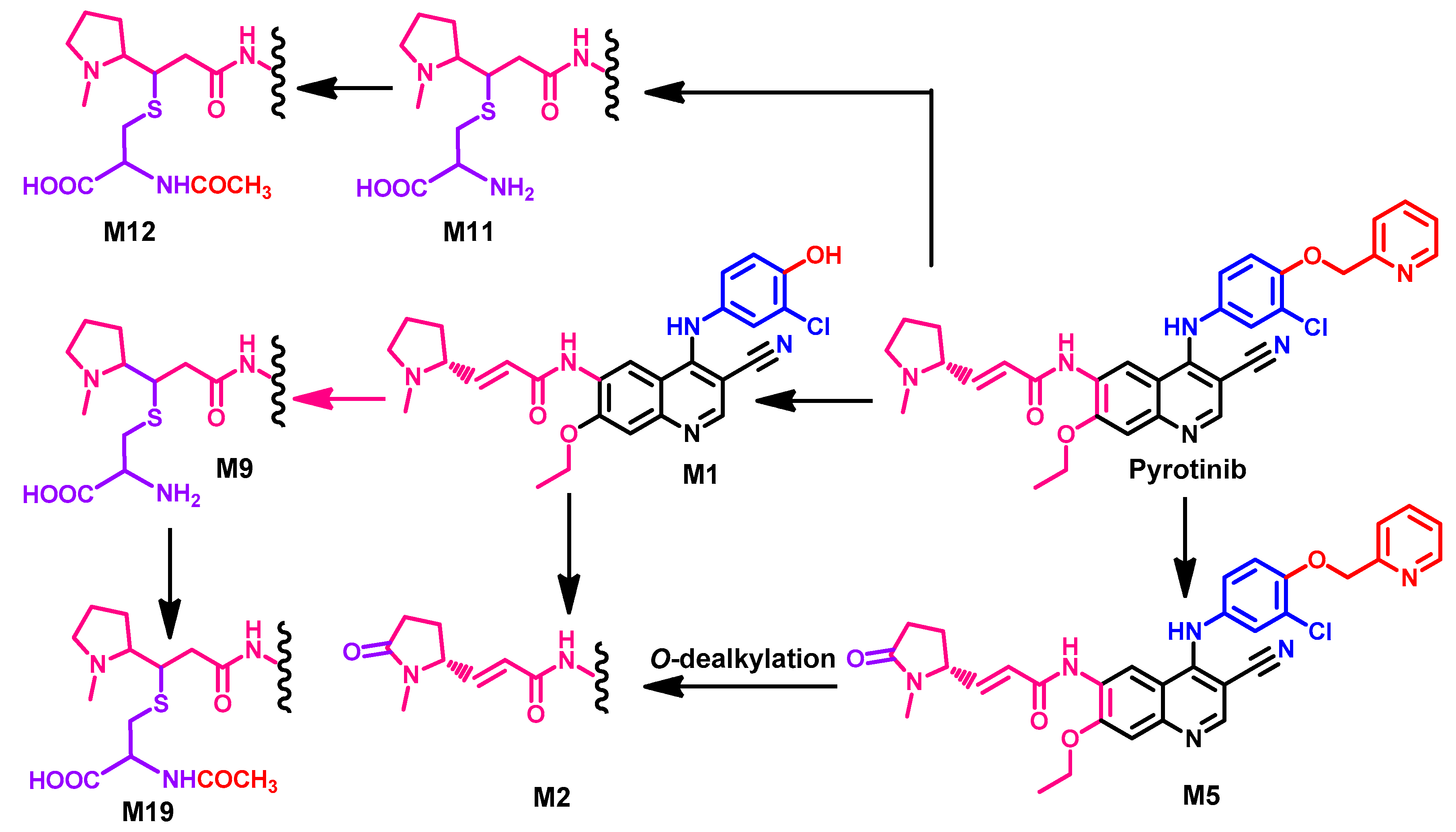 Molecules 26 06677 g059