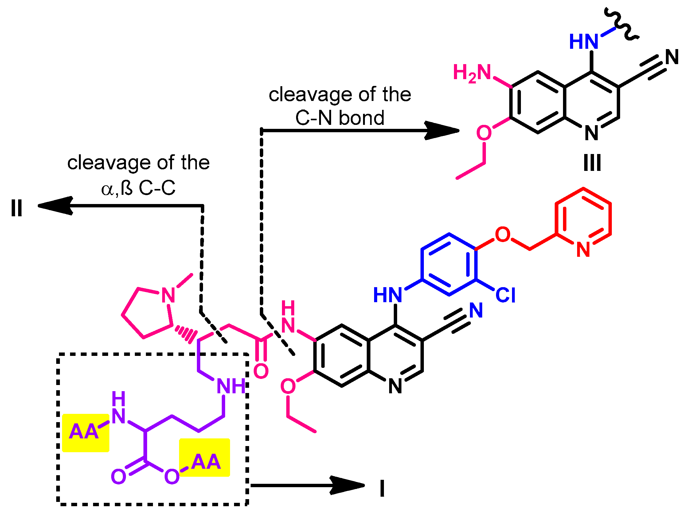 Molecules 26 06677 g060