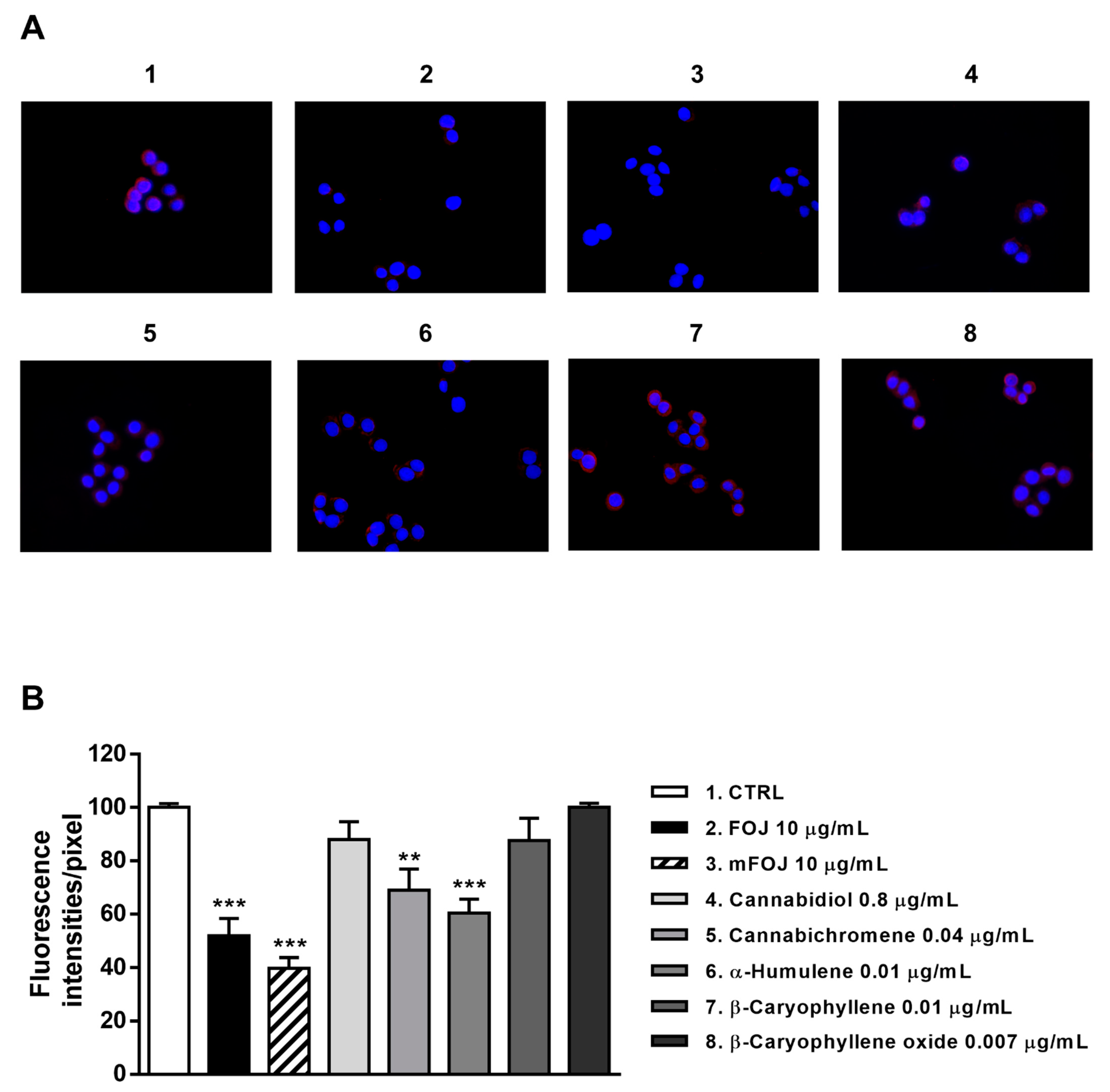 Molecules 26 06688 g008