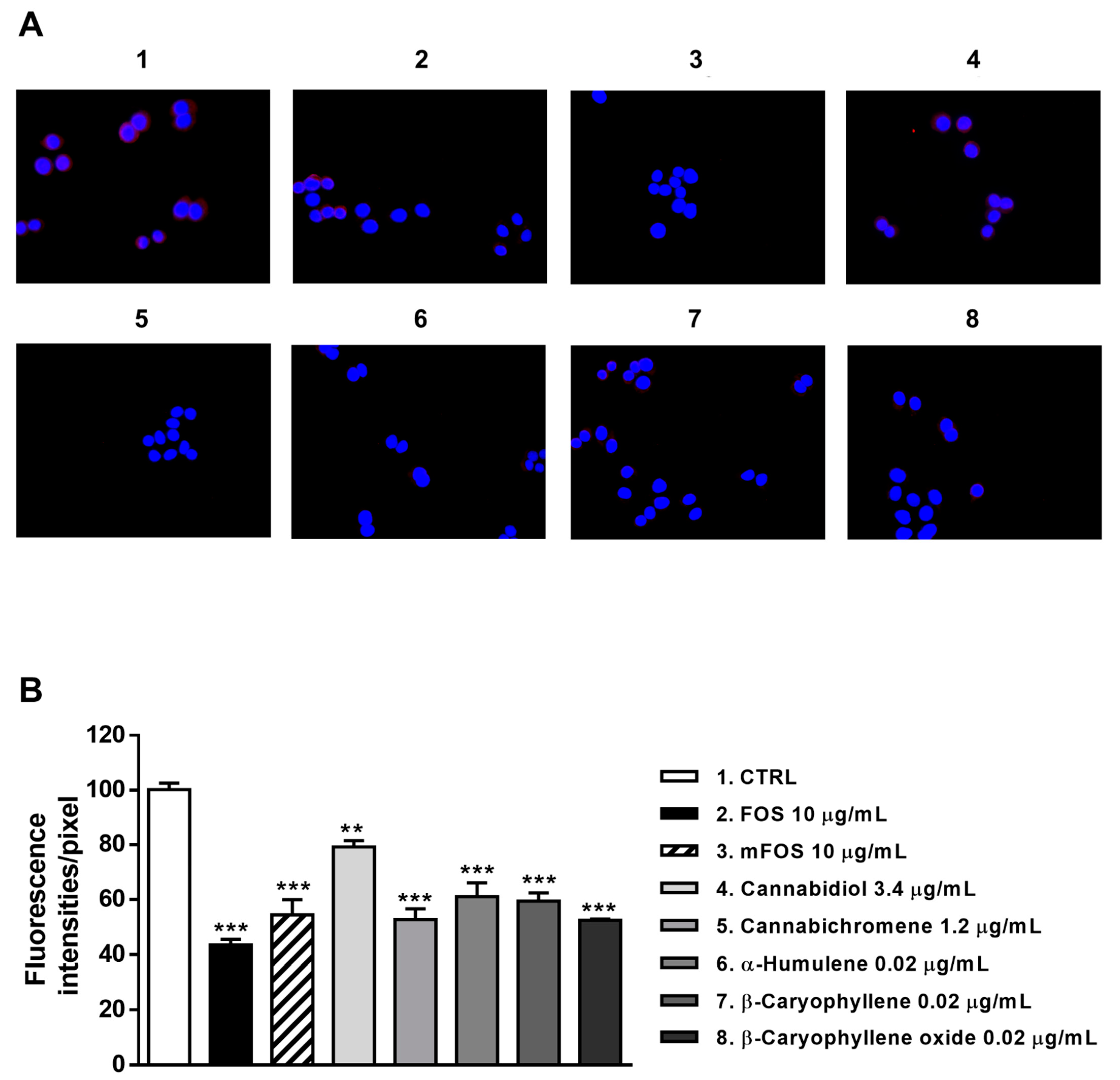 Molecules 26 06688 g009
