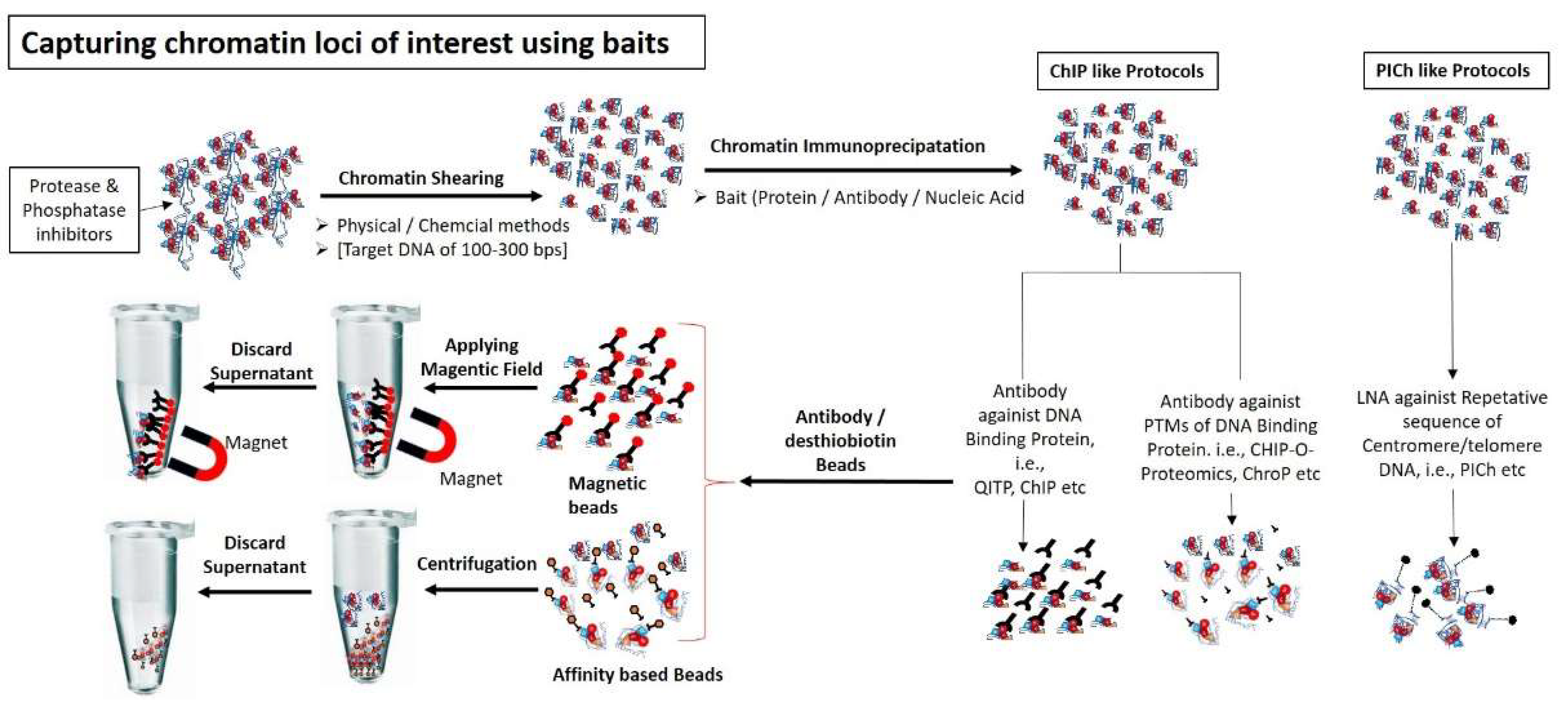 Molecules 26 06694 g002