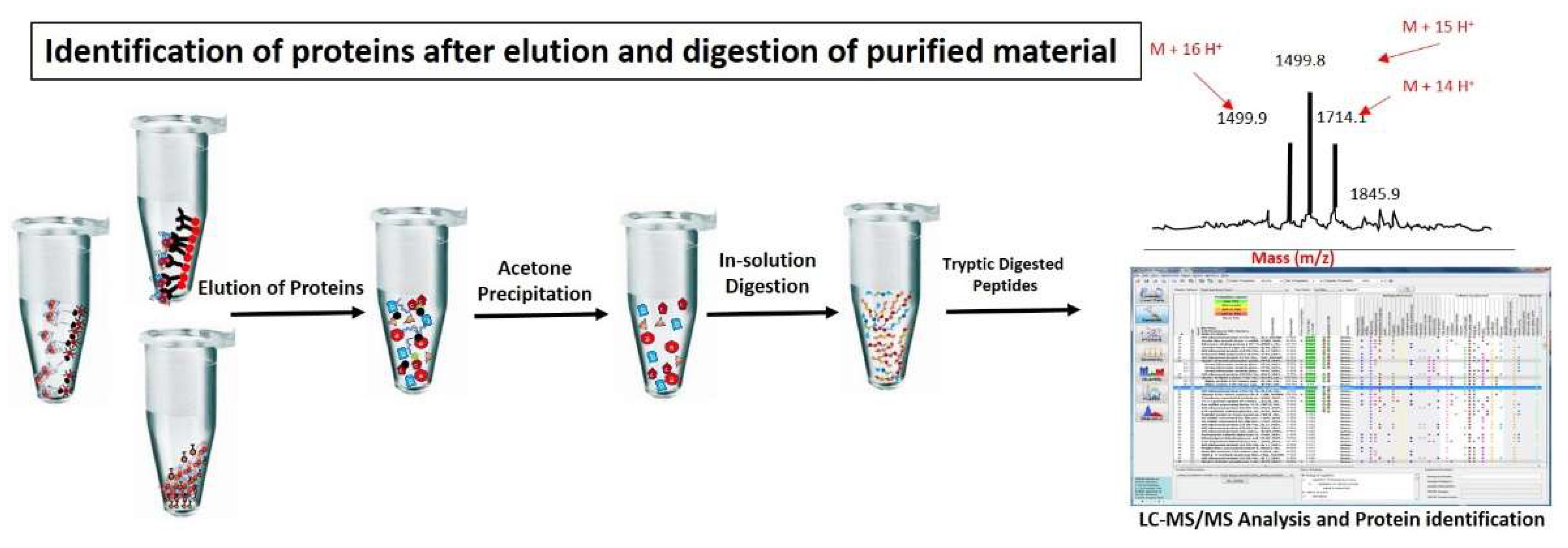Molecules 26 06694 g003